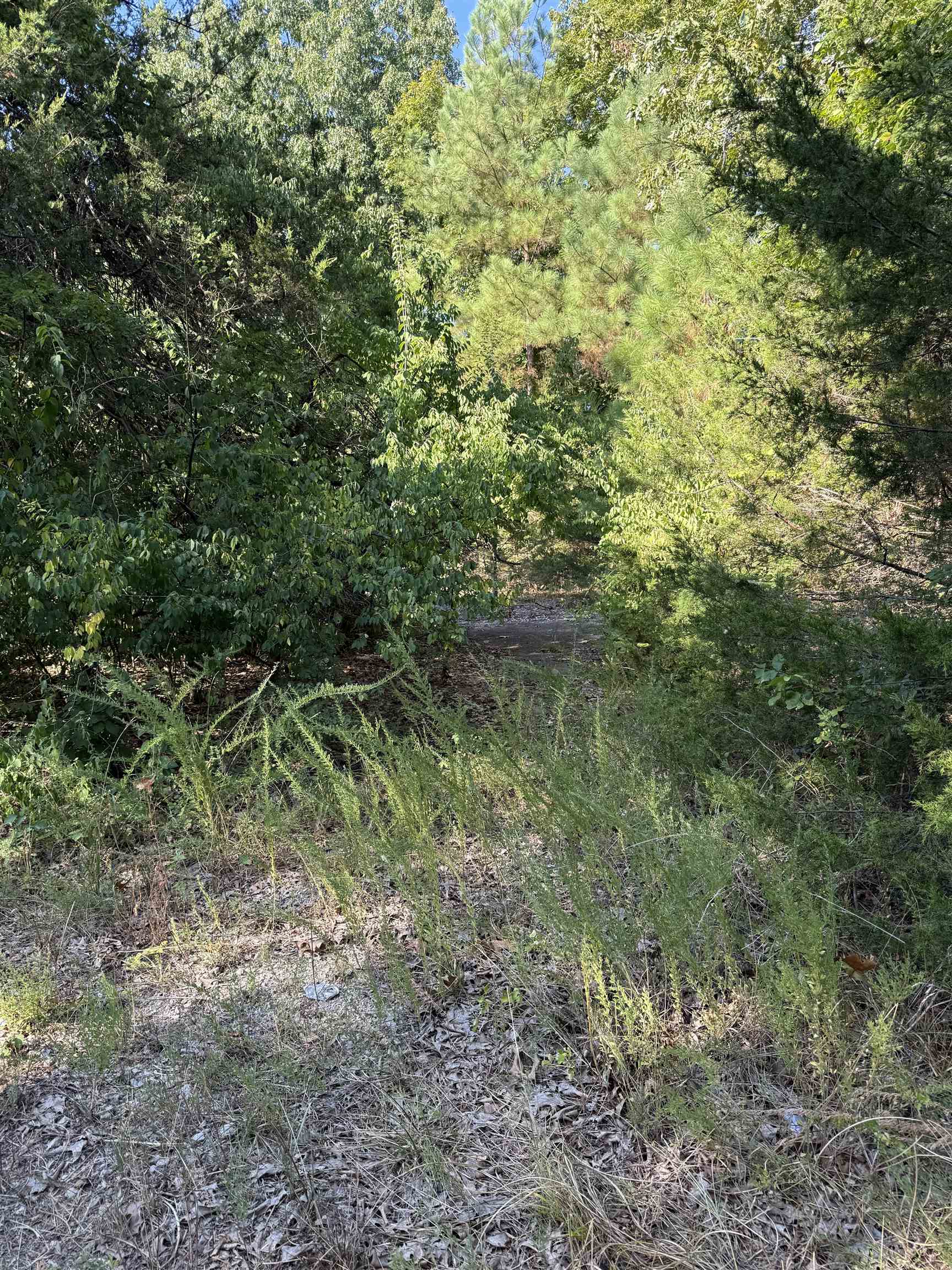 Photo 3 - Vacant Land for sale – 1213  Ridge Circle   Horseshoe Bend, AR