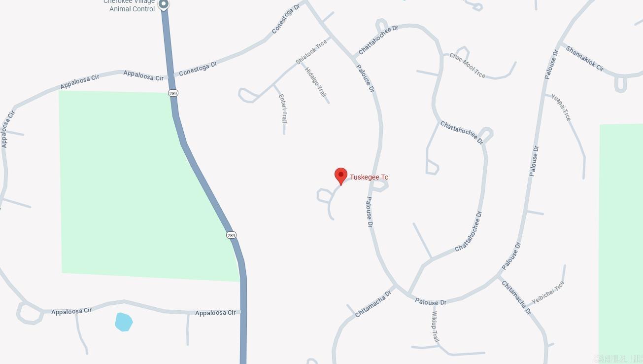 Photo 3 - Vacant Land for sale – Lot 13  Tuskegee   Cherokee Village, AR