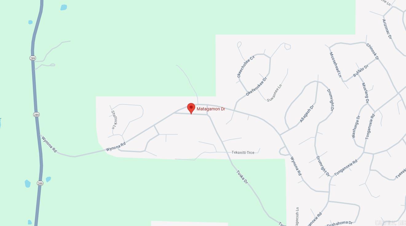 Photo 3 - Vacant Land for sale – Lot 8  Matagamon   Cherokee Village, AR