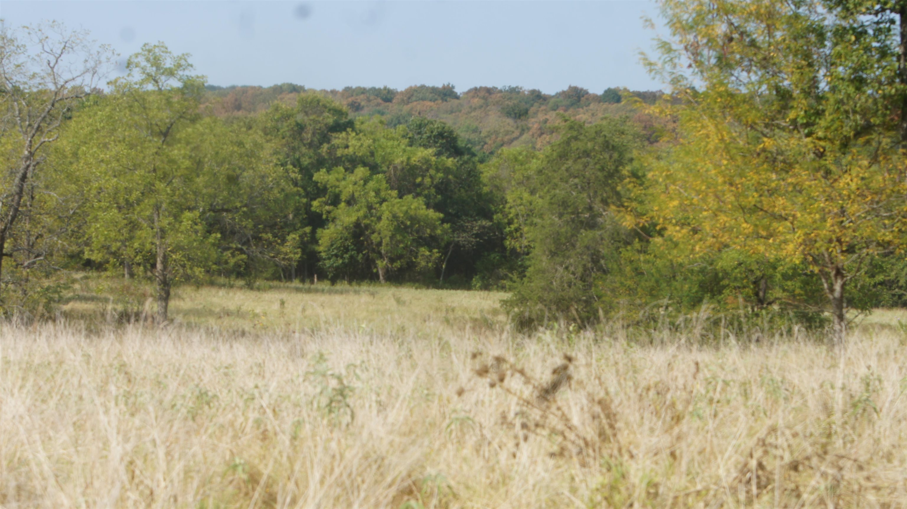 Vacant Land for sale – TBD  Shiloh Road   Ash Flat, AR