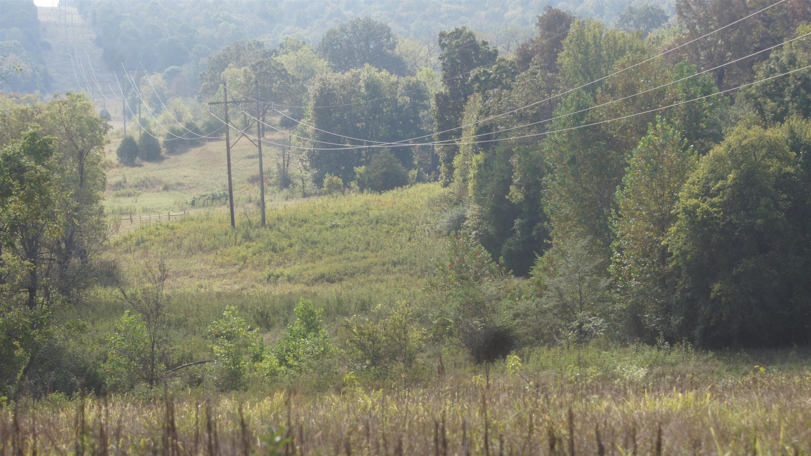 Photo 12 - Vacant Land for sale – TBD  Shiloh Road   Ash Flat, AR