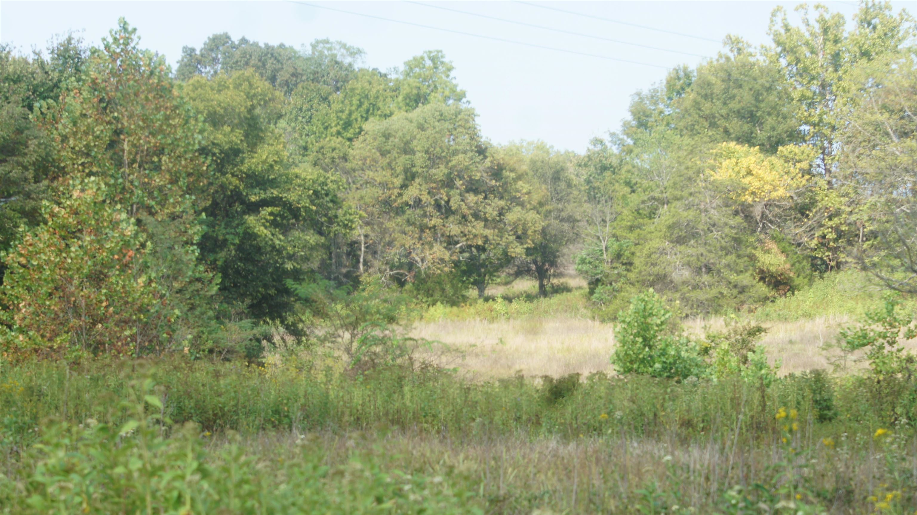 Photo 15 - Vacant Land for sale – TBD  Shiloh Road   Ash Flat, AR