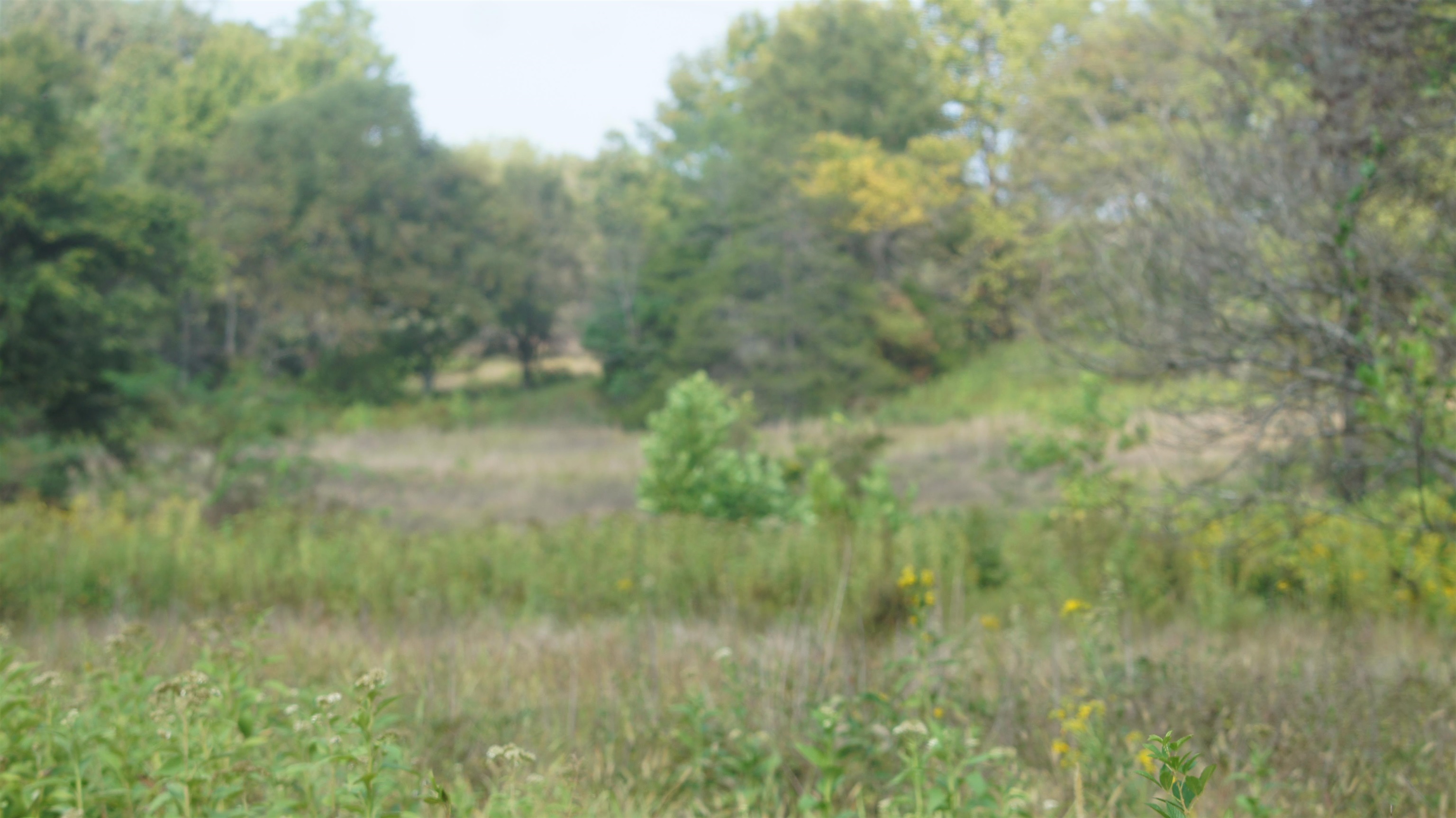 Photo 17 - Vacant Land for sale – TBD  Shiloh Road   Ash Flat, AR