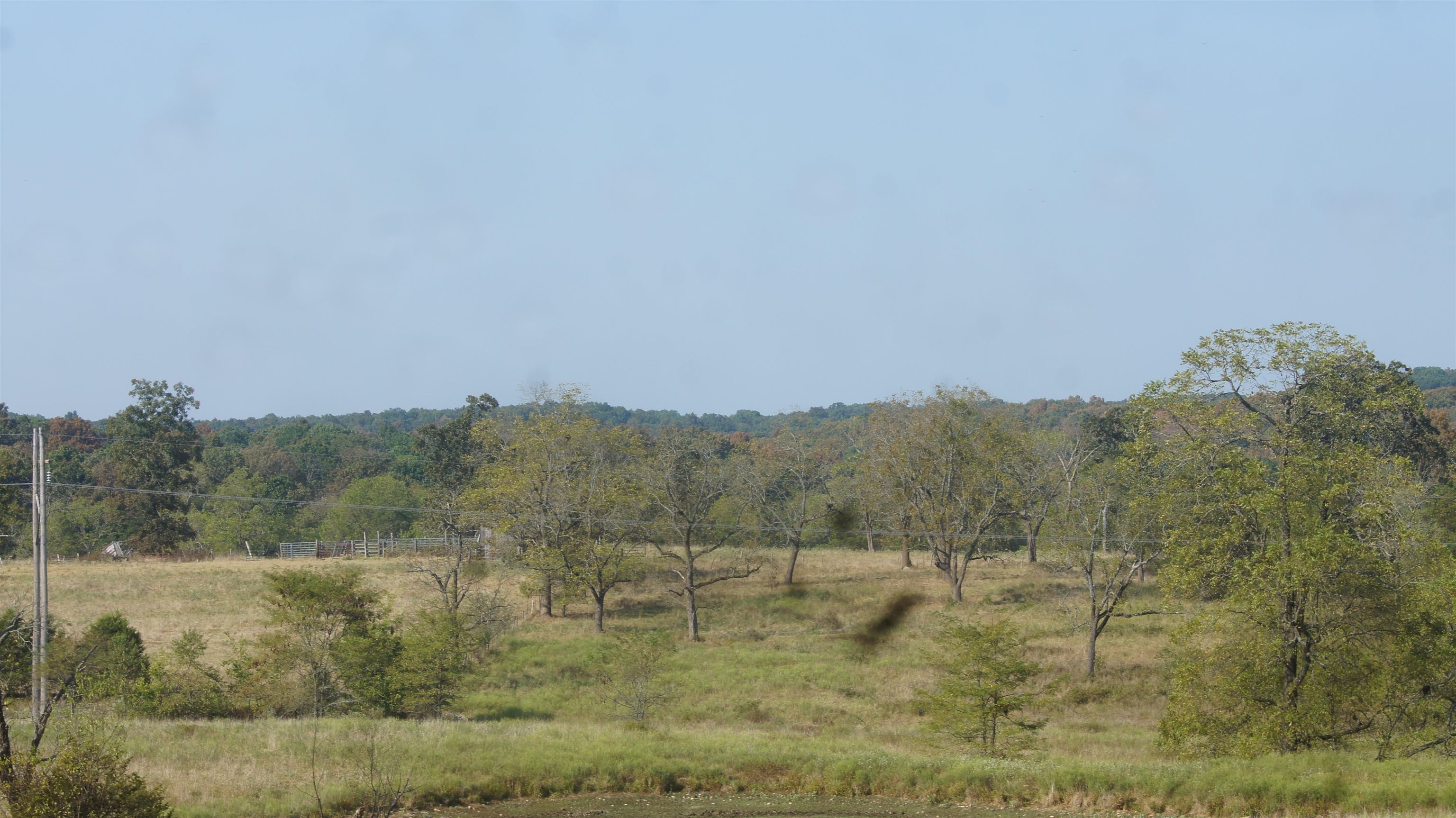 Photo 3 - Vacant Land for sale – TBD  Shiloh Road   Ash Flat, AR