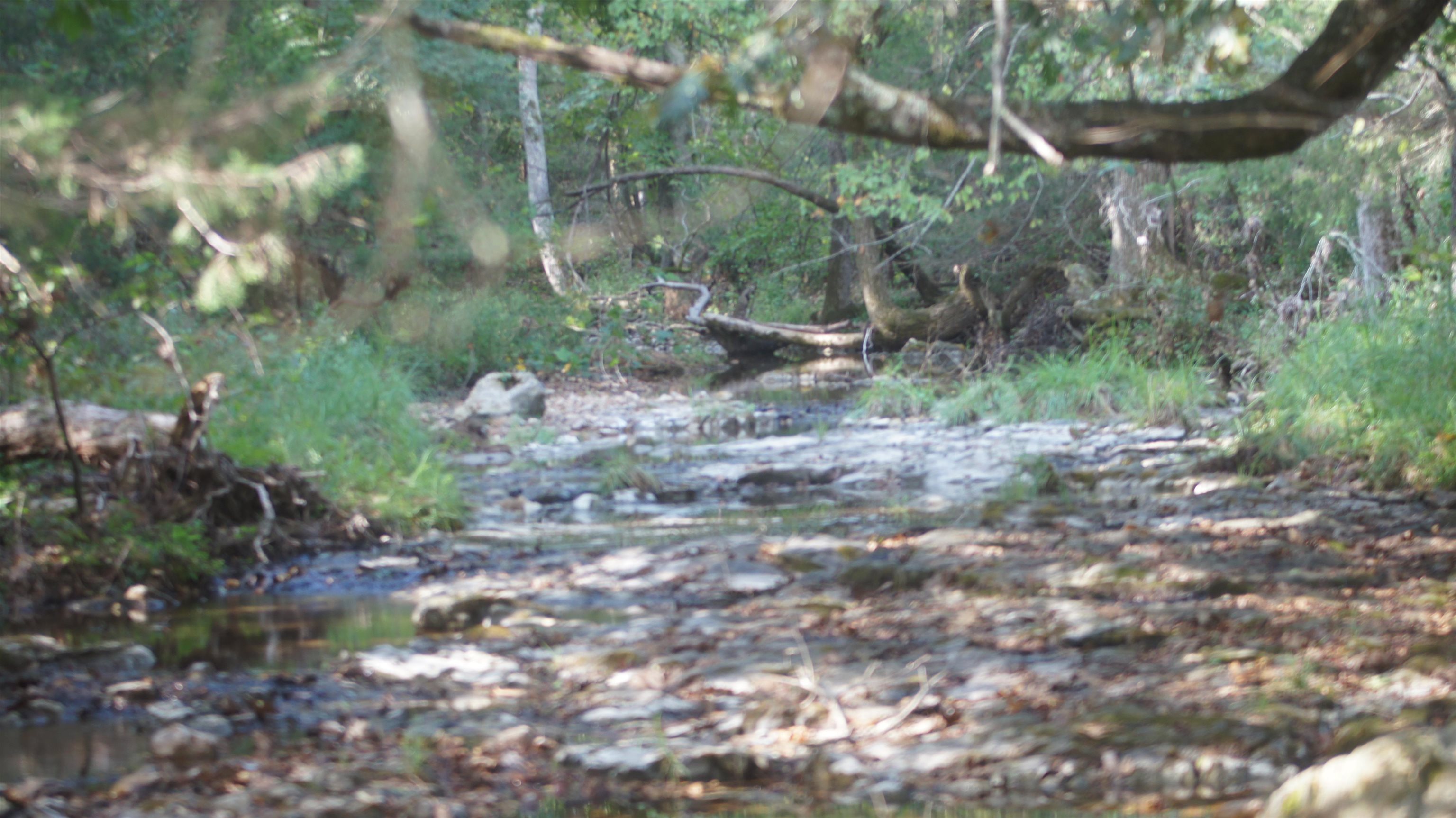 Photo 7 - Vacant Land for sale – TBD  Shiloh Road   Ash Flat, AR