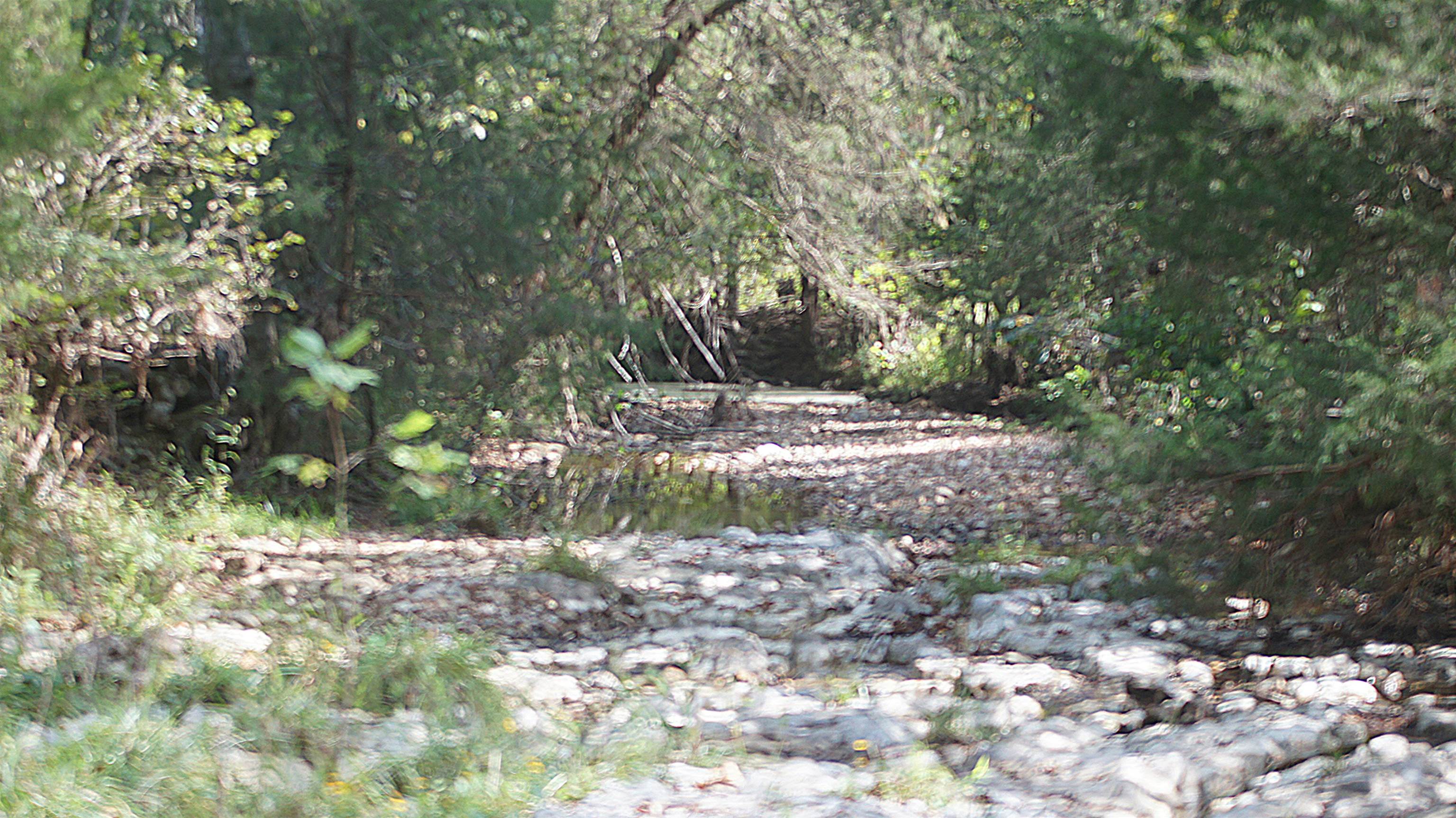 Photo 8 - Vacant Land for sale – TBD  Shiloh Road   Ash Flat, AR