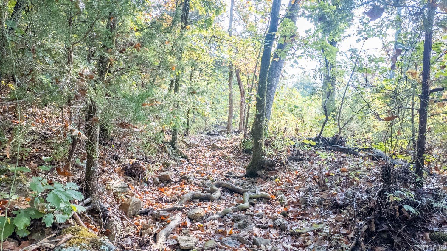 Photo 13 - Commercial / Industrial for sale – 11748  Highway 63 South   Hardy, AR