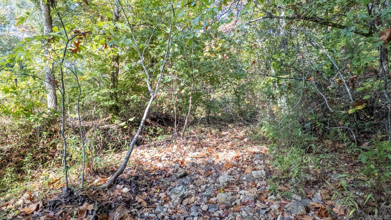 Photo 14 - Commercial / Industrial for sale – 11748  Highway 63 South   Hardy, AR