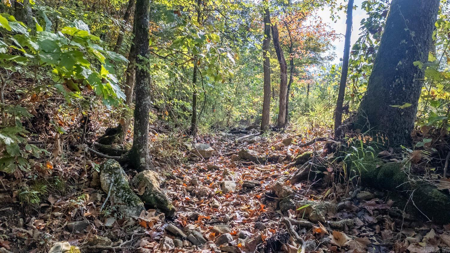 Photo 15 - Commercial / Industrial for sale – 11748  Highway 63 South   Hardy, AR