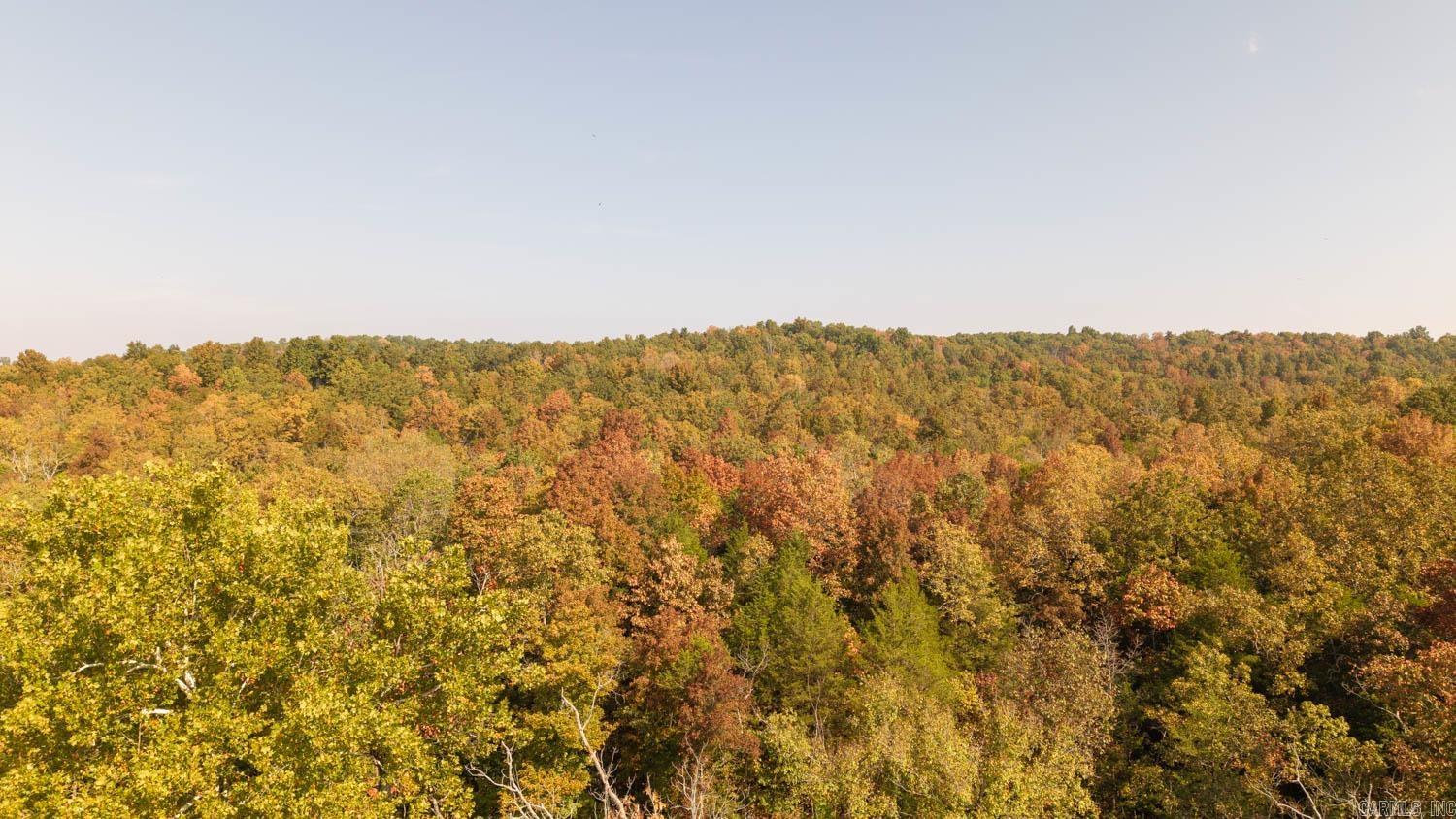 Photo 20 - Commercial / Industrial for sale – 11748  Highway 63 South   Hardy, AR