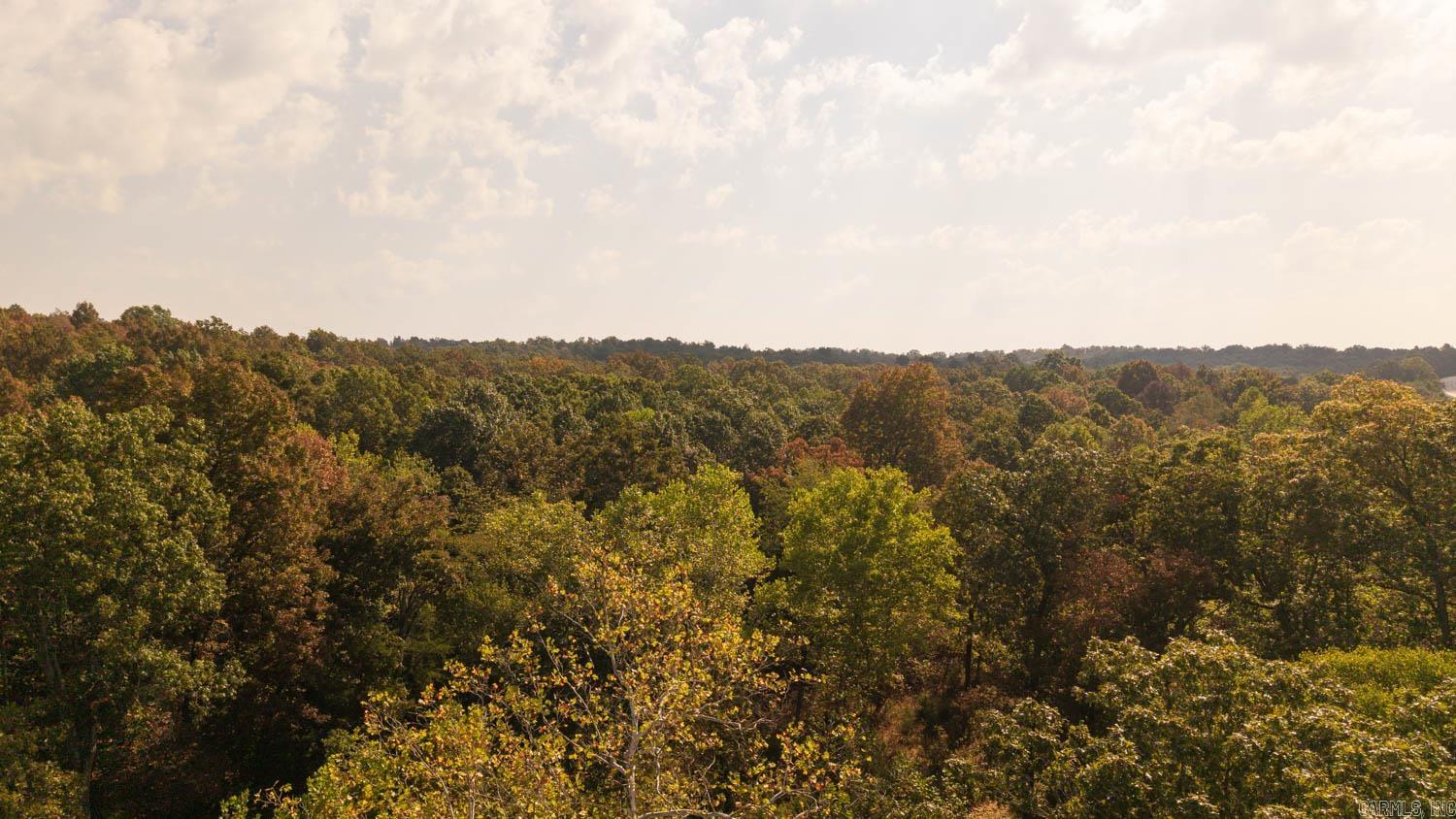 Photo 21 - Commercial / Industrial for sale – 11748  Highway 63 South   Hardy, AR