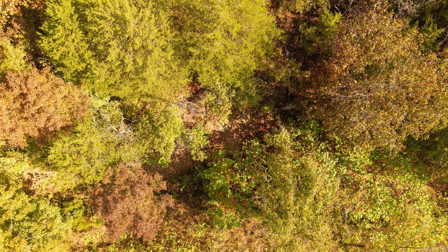 Photo 22 - Commercial / Industrial for sale – 11748  Highway 63 South   Hardy, AR