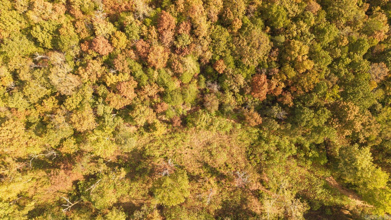 Photo 23 - Commercial / Industrial for sale – 11748  Highway 63 South   Hardy, AR