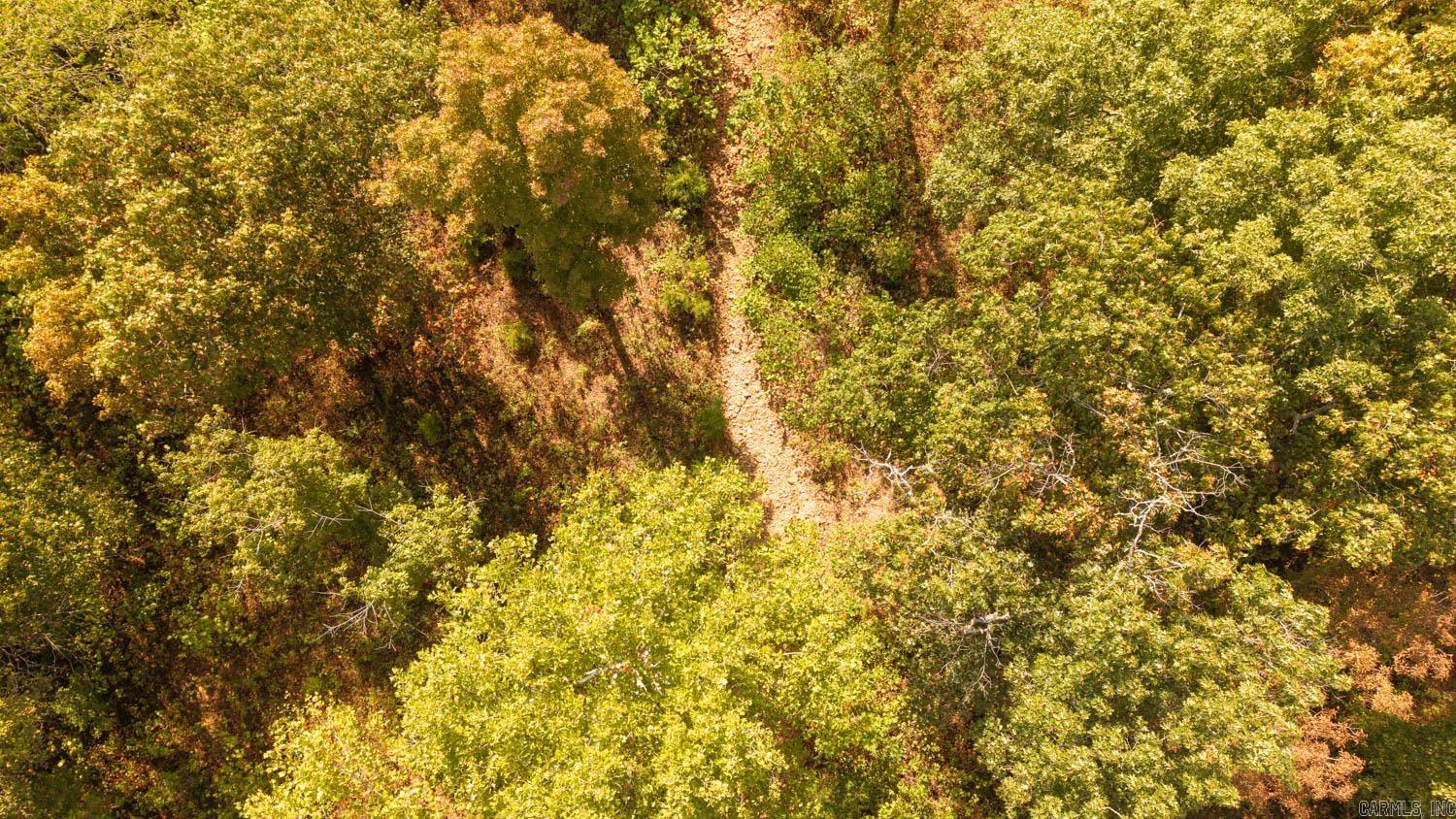 Photo 24 - Commercial / Industrial for sale – 11748  Highway 63 South   Hardy, AR