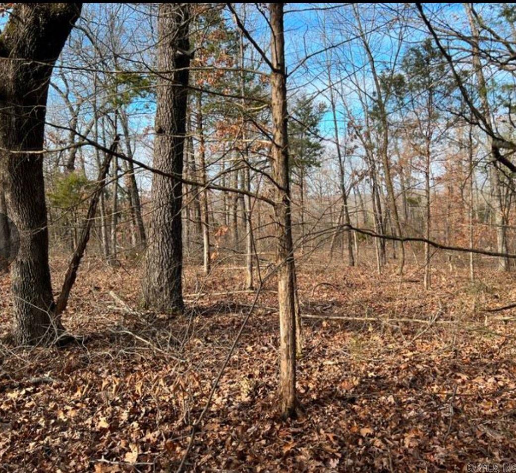 Photo 2 - Vacant Land for sale – 1113  Connection   Horseshoe Bend, AR