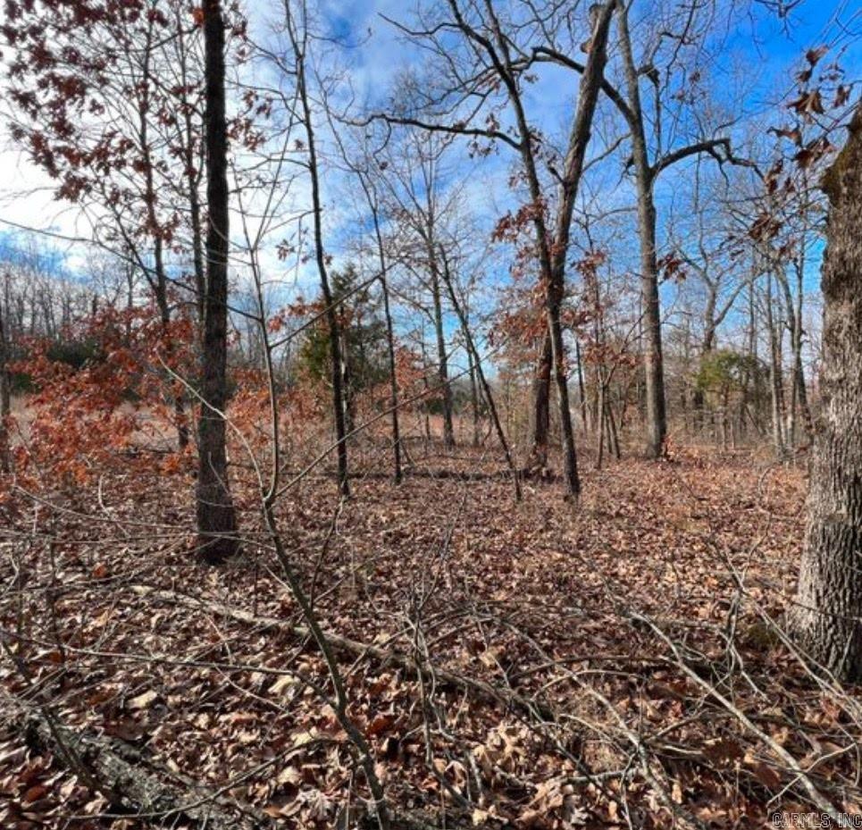 Photo 3 - Vacant Land for sale – 1113  Connection   Horseshoe Bend, AR