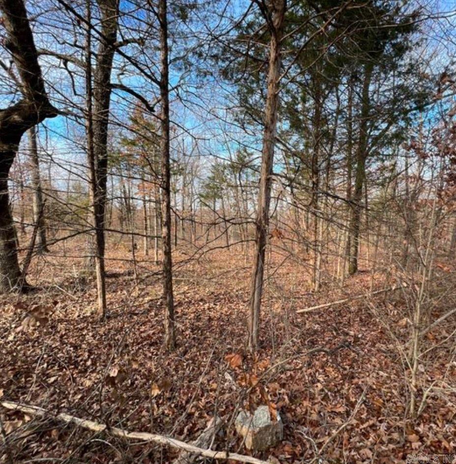 Photo 4 - Vacant Land for sale – 1113  Connection   Horseshoe Bend, AR
