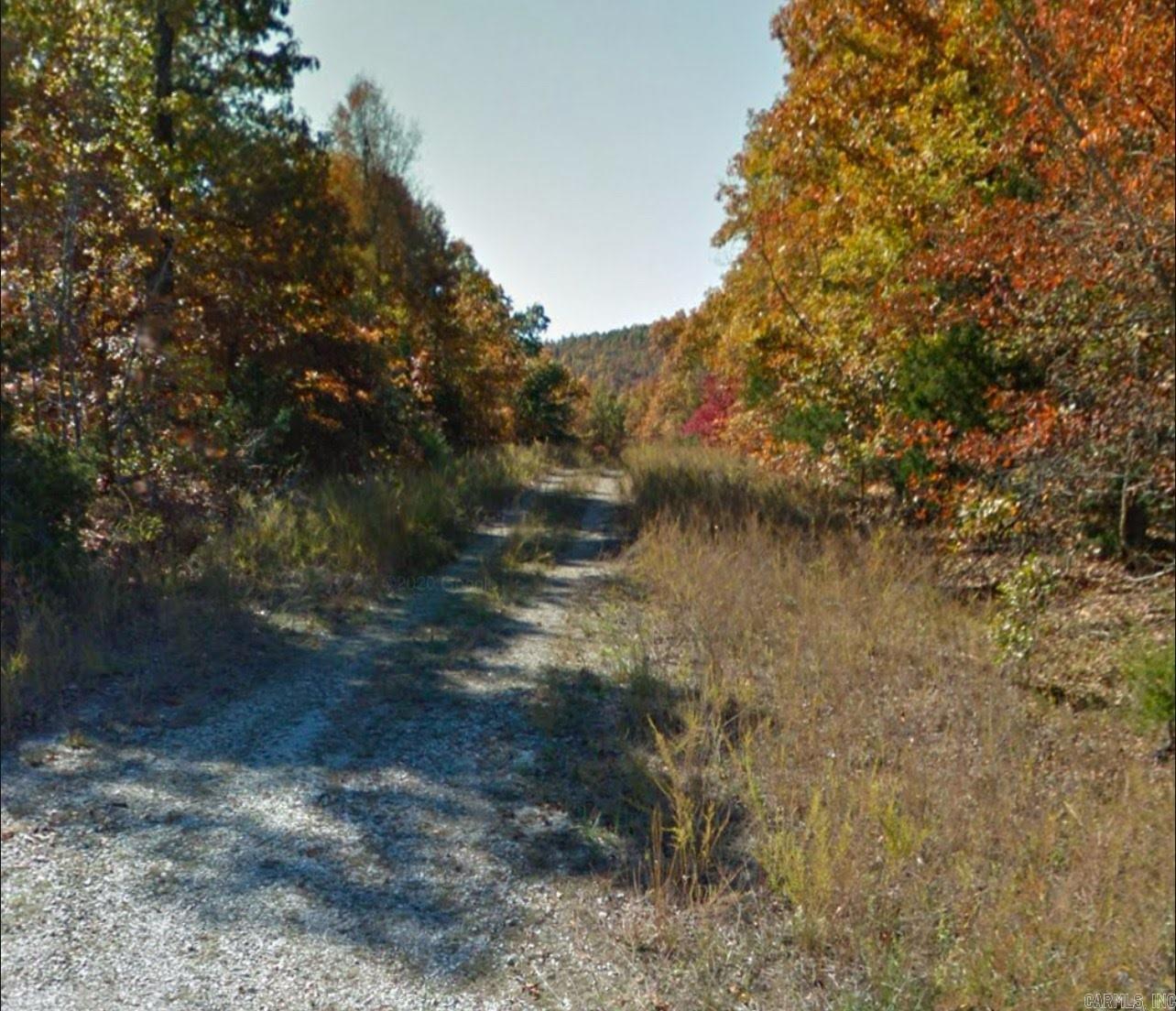 Photo 5 - Vacant Land for sale – 1113  Connection   Horseshoe Bend, AR