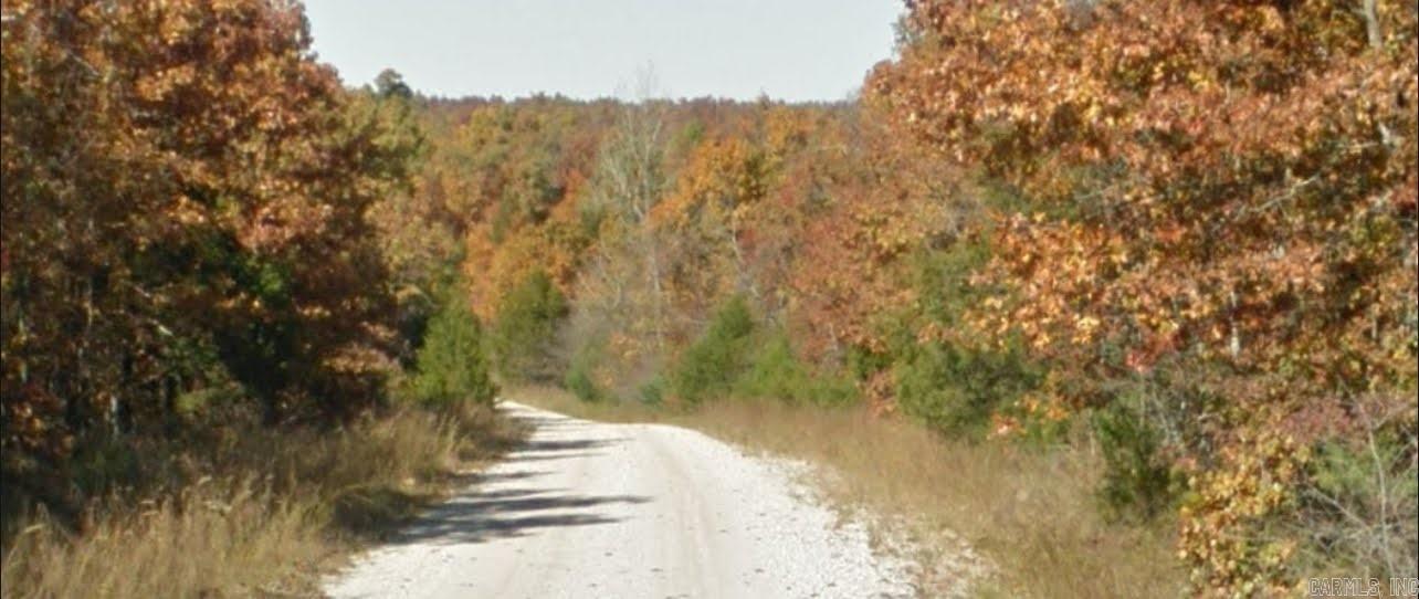 Photo 6 - Vacant Land for sale – 1113  Connection   Horseshoe Bend, AR