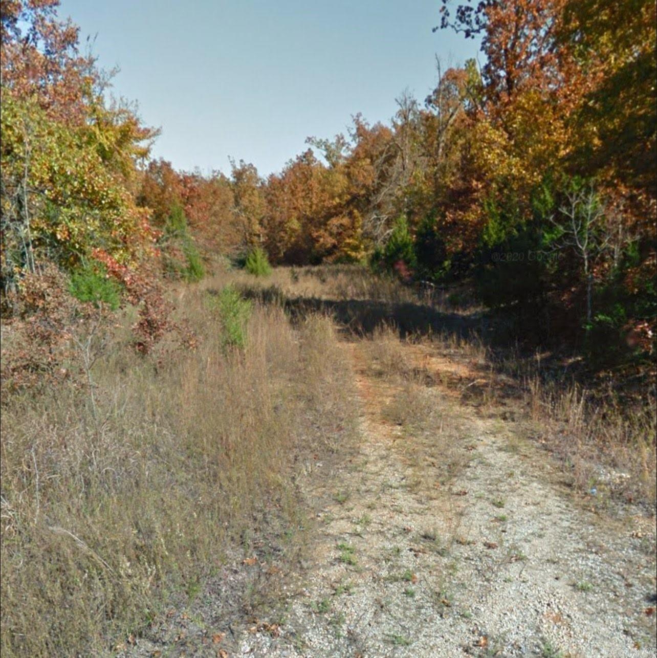Photo 8 - Vacant Land for sale – 1113  Connection   Horseshoe Bend, AR