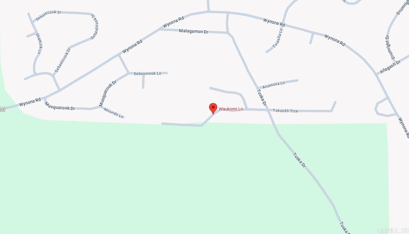 Photo 3 - Vacant Land for sale – Lot 18  Waukomi   Cherokee Village, AR