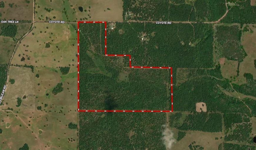 Photo 2 - Vacant Land for sale – 253  Coyote Rd   Salem, AR