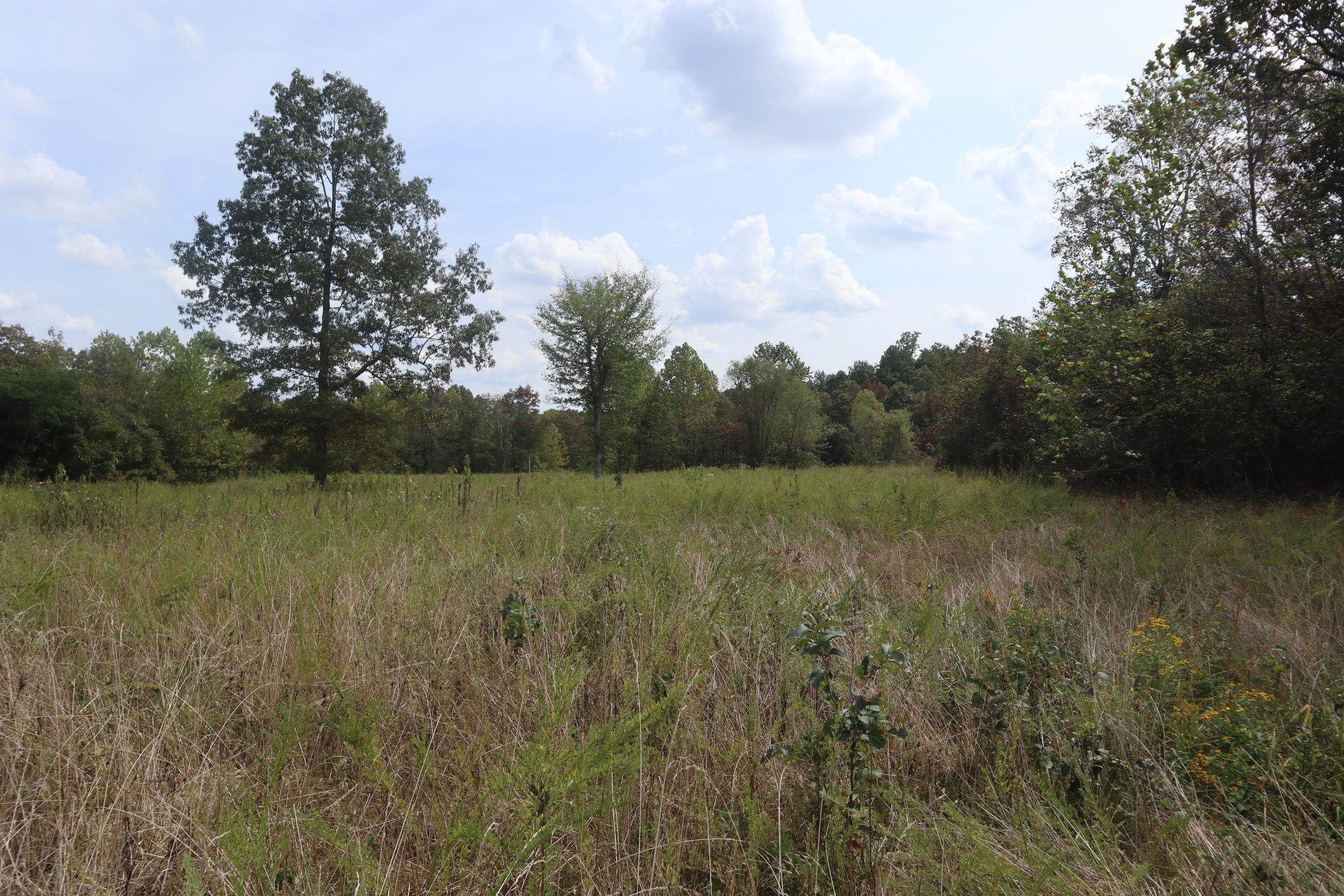 Photo 11 - Vacant Land for sale – 253  Coyote Rd   Salem, AR