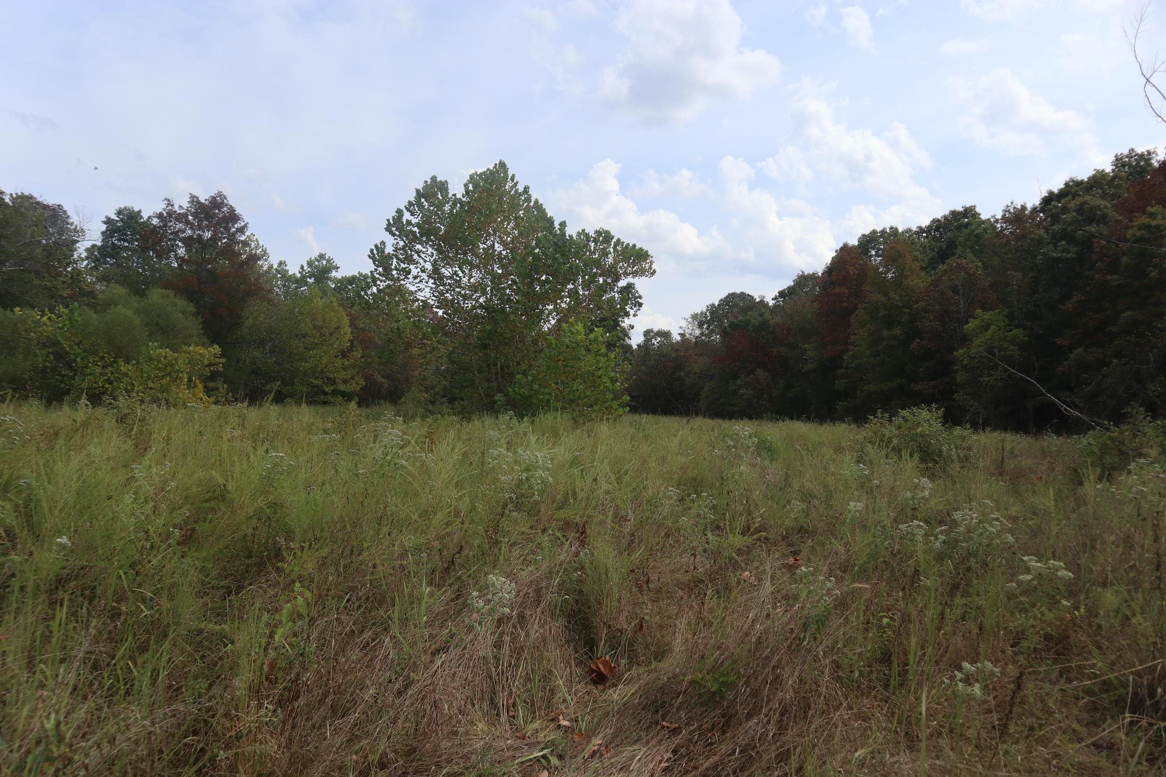 Photo 12 - Vacant Land for sale – 253  Coyote Rd   Salem, AR