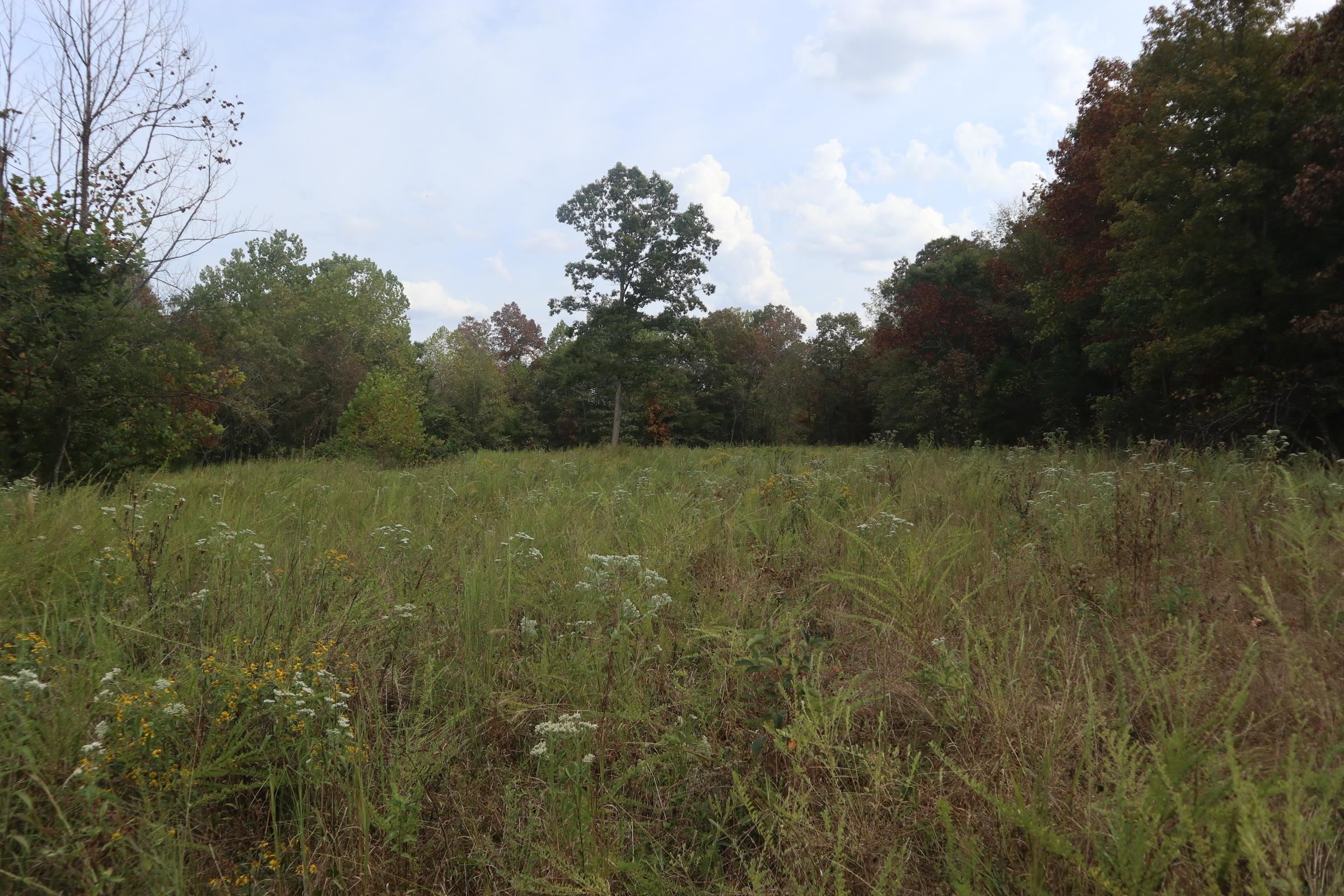 Photo 13 - Vacant Land for sale – 253  Coyote Rd   Salem, AR