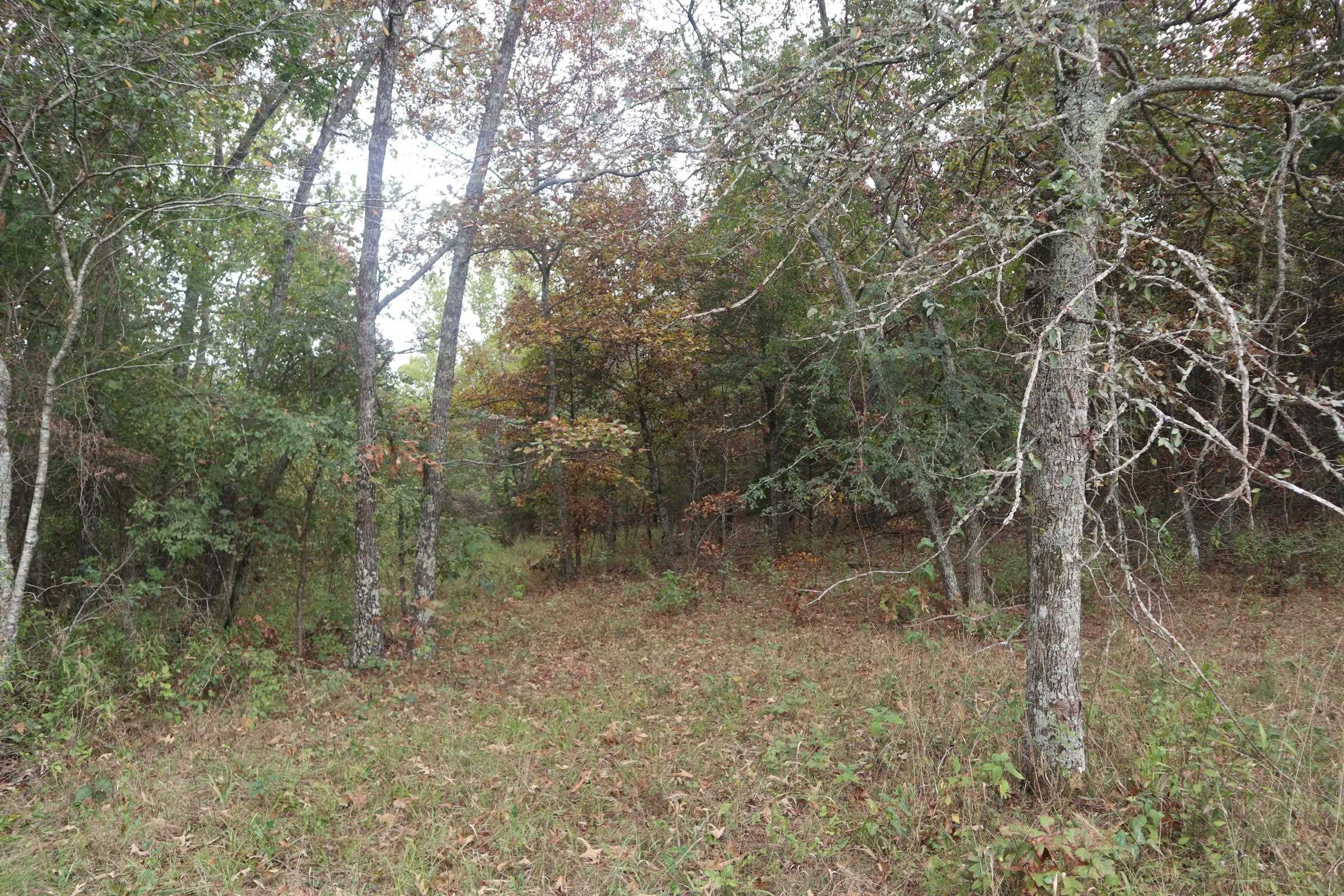 Photo 14 - Vacant Land for sale – 253  Coyote Rd   Salem, AR