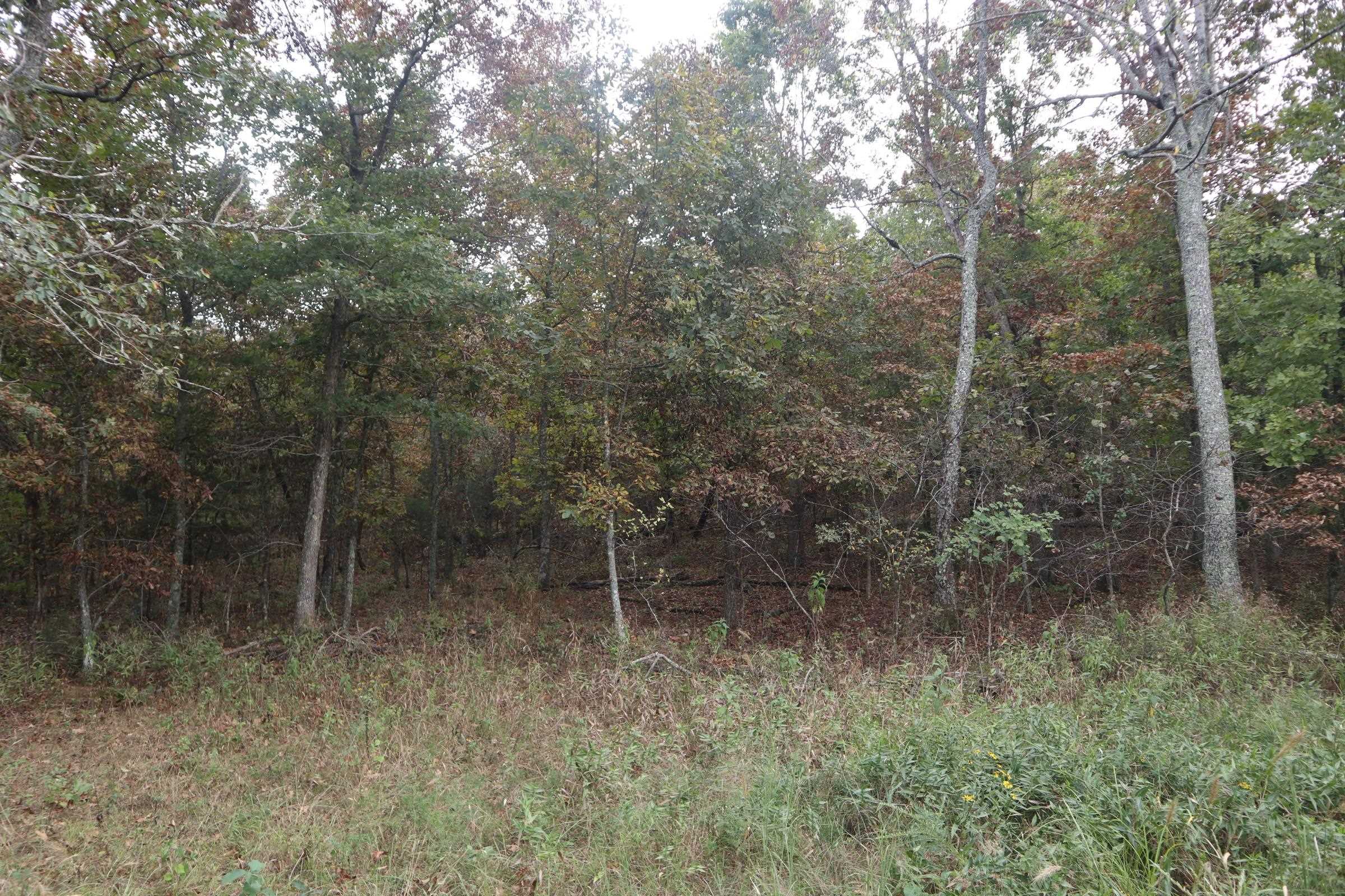 Photo 15 - Vacant Land for sale – 253  Coyote Rd   Salem, AR