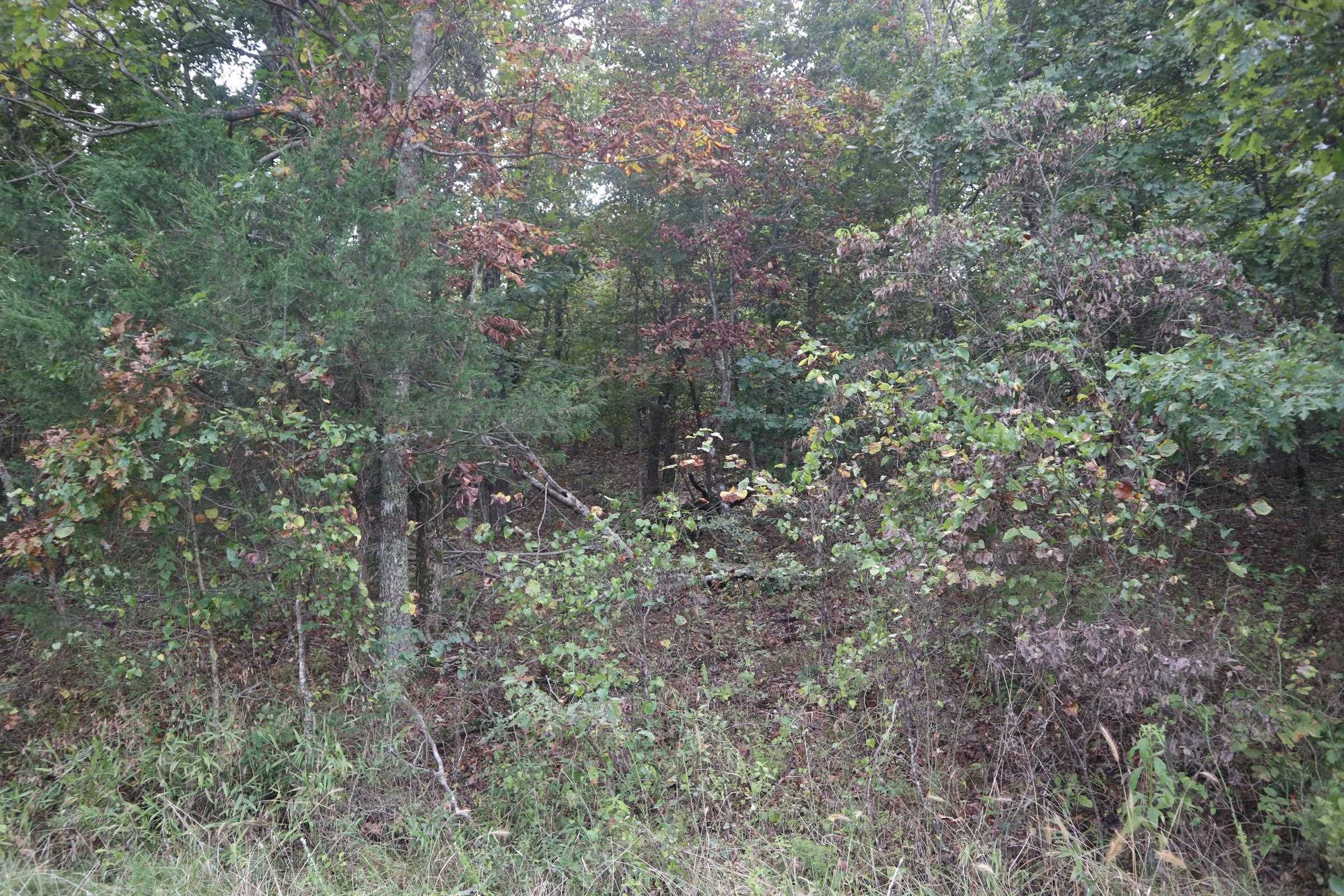 Photo 16 - Vacant Land for sale – 253  Coyote Rd   Salem, AR