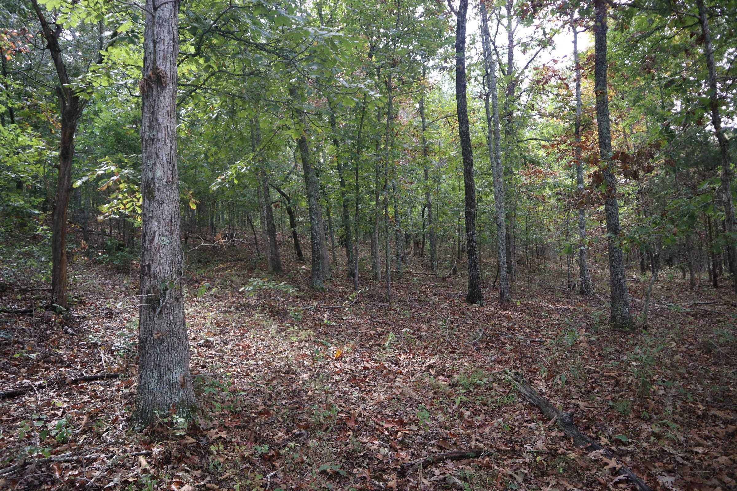 Photo 17 - Vacant Land for sale – 253  Coyote Rd   Salem, AR