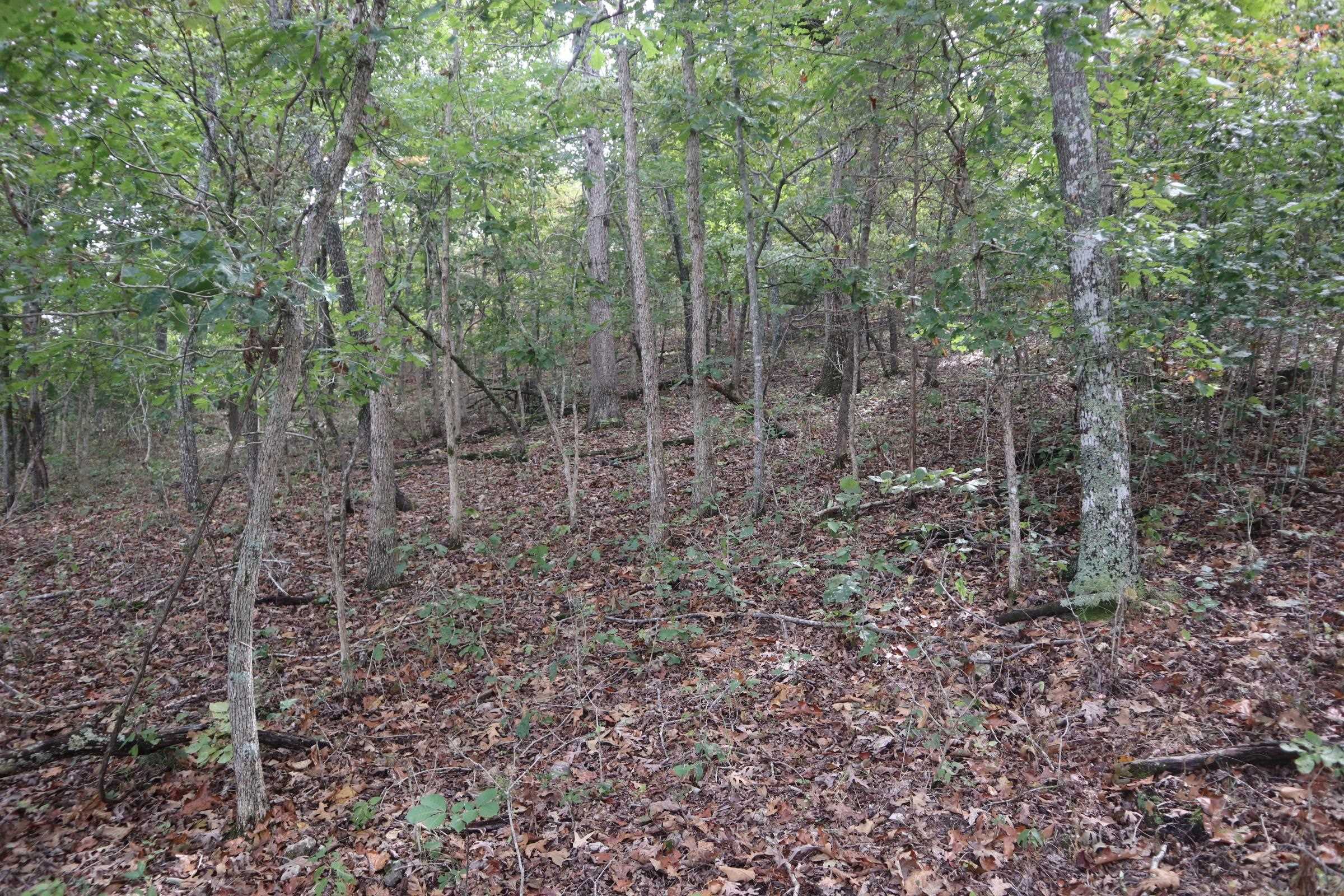 Photo 18 - Vacant Land for sale – 253  Coyote Rd   Salem, AR
