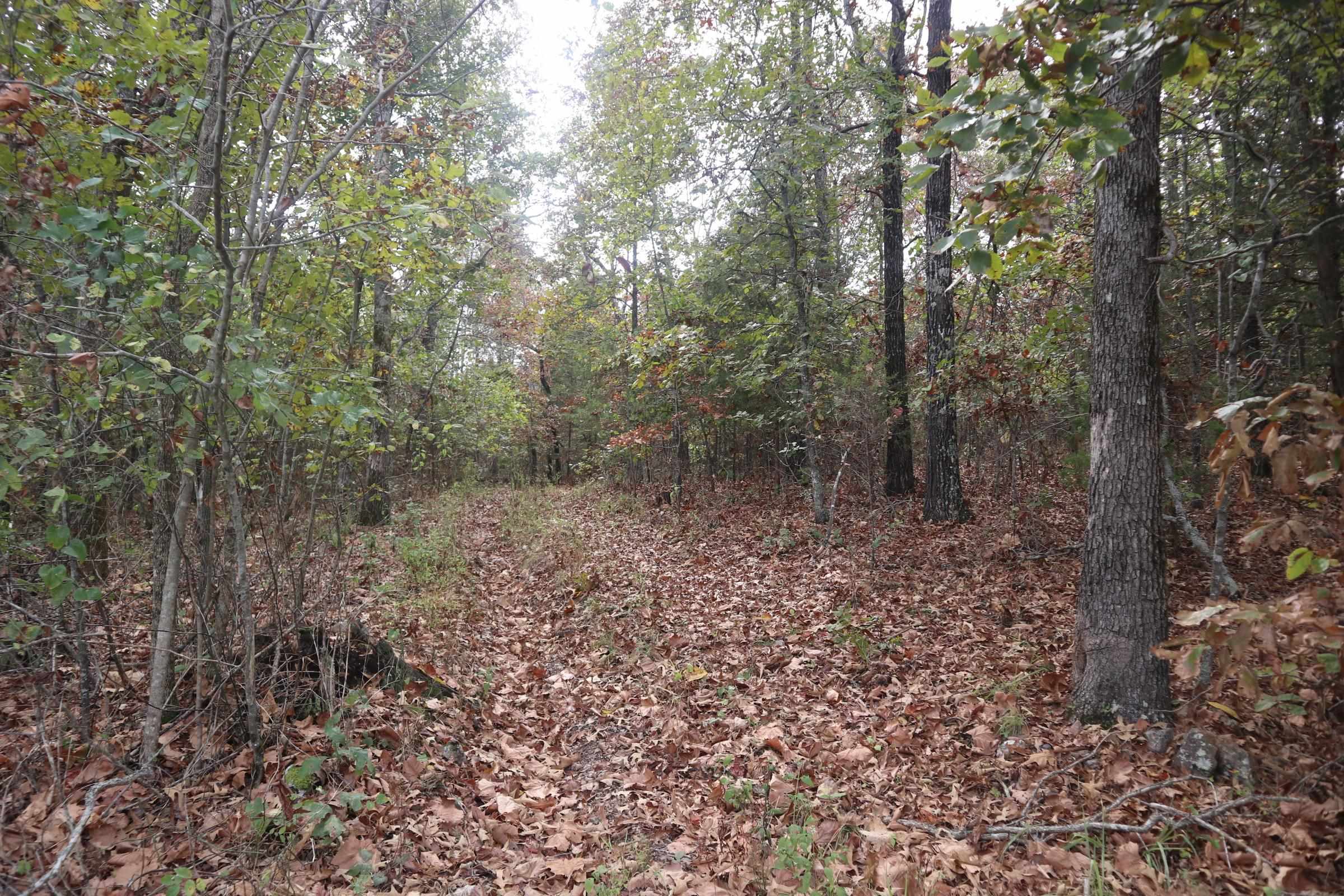 Photo 19 - Vacant Land for sale – 253  Coyote Rd   Salem, AR