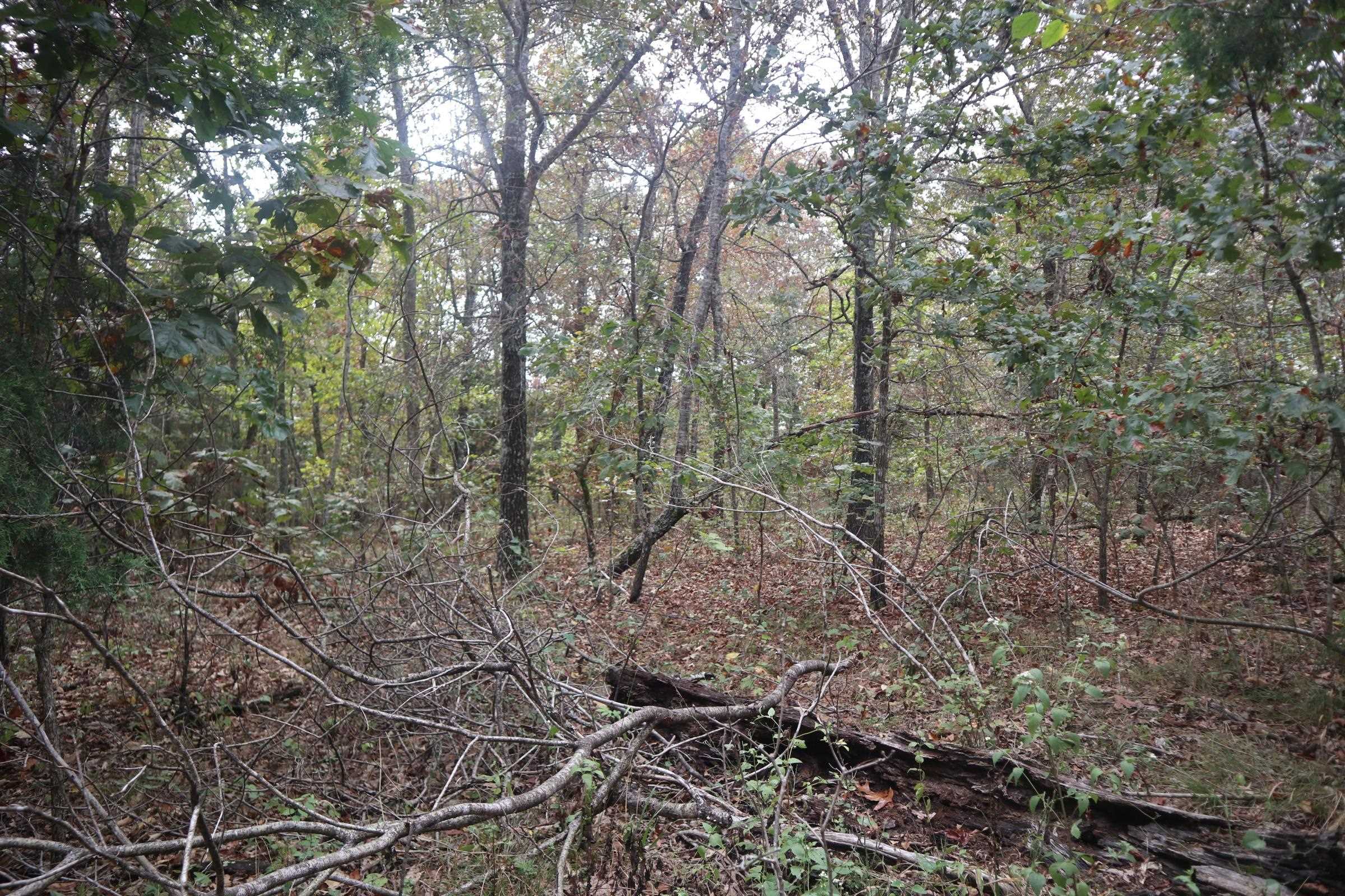 Photo 20 - Vacant Land for sale – 253  Coyote Rd   Salem, AR