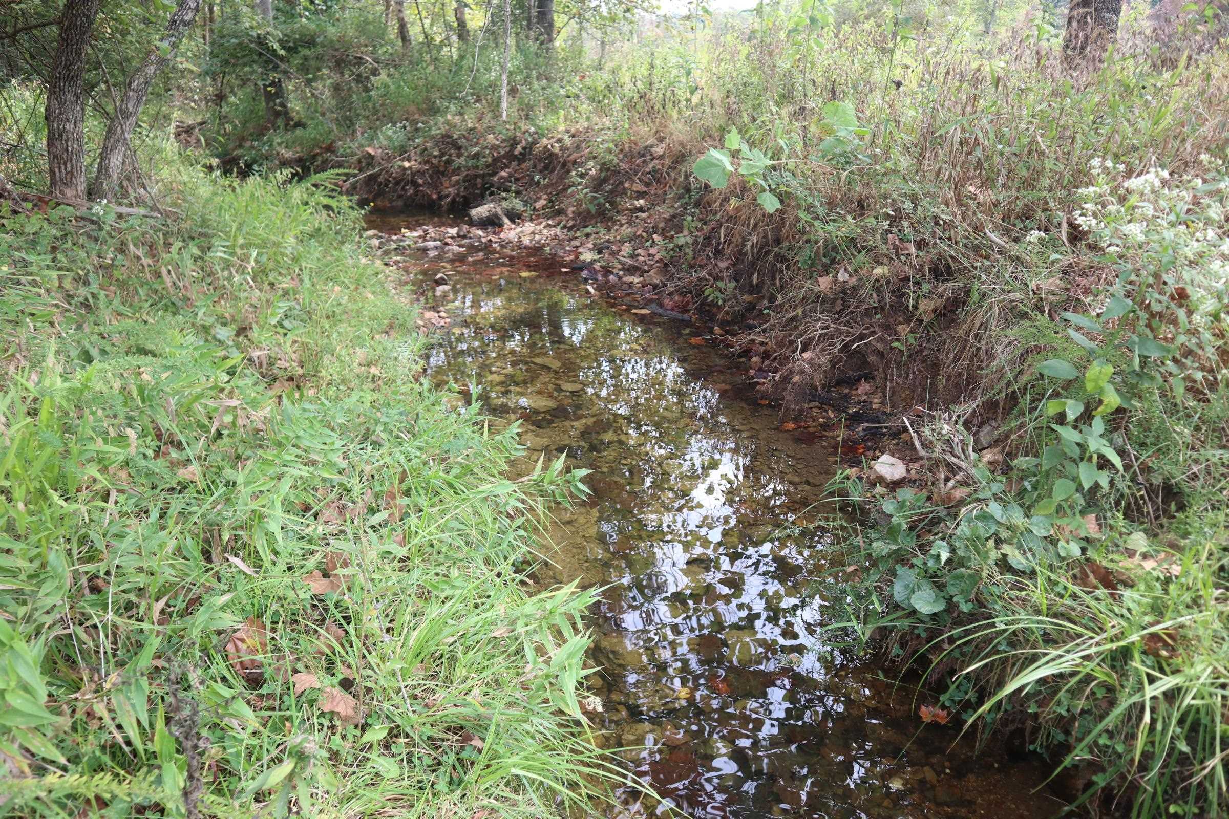 Photo 3 - Vacant Land for sale – 253  Coyote Rd   Salem, AR