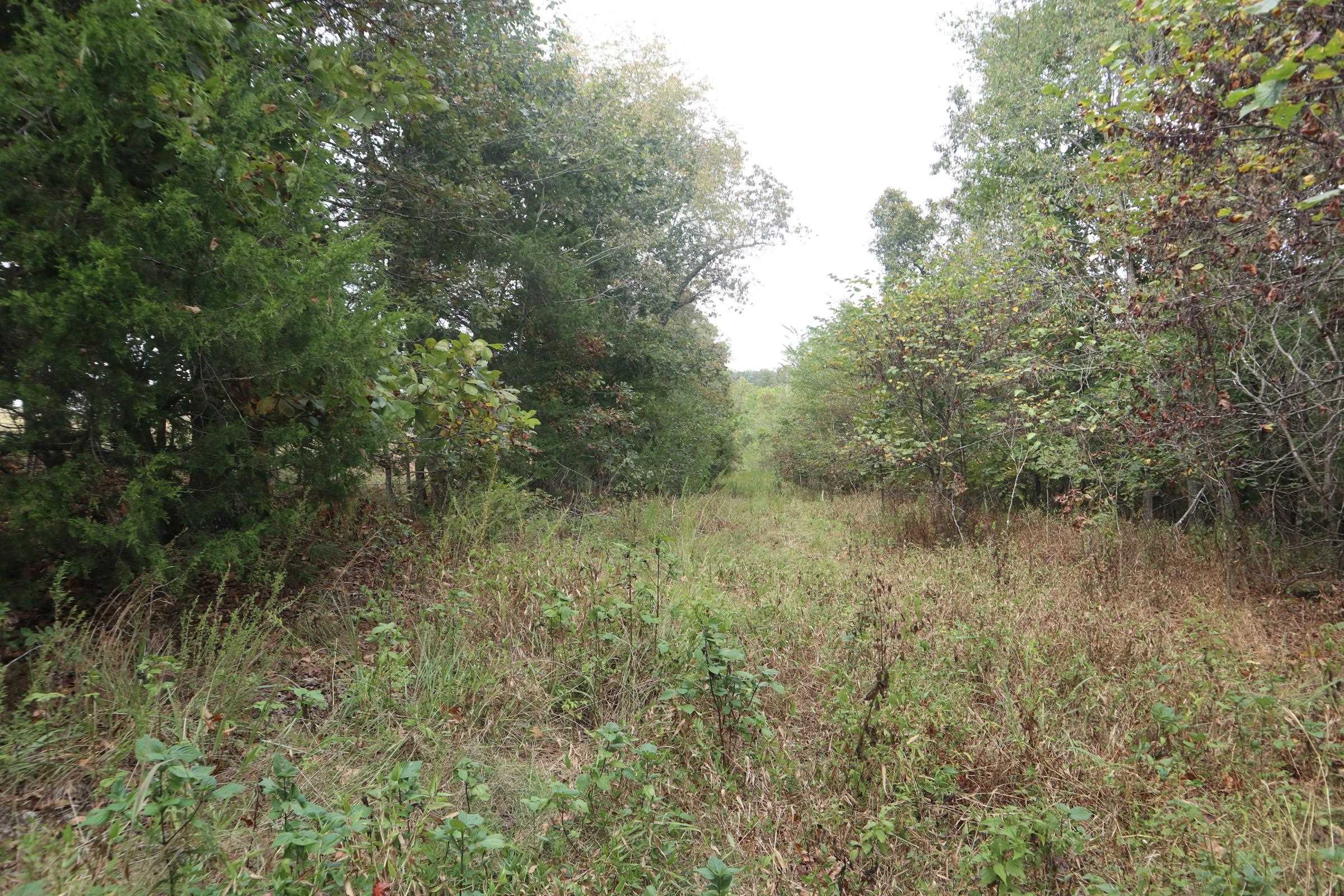Photo 21 - Vacant Land for sale – 253  Coyote Rd   Salem, AR
