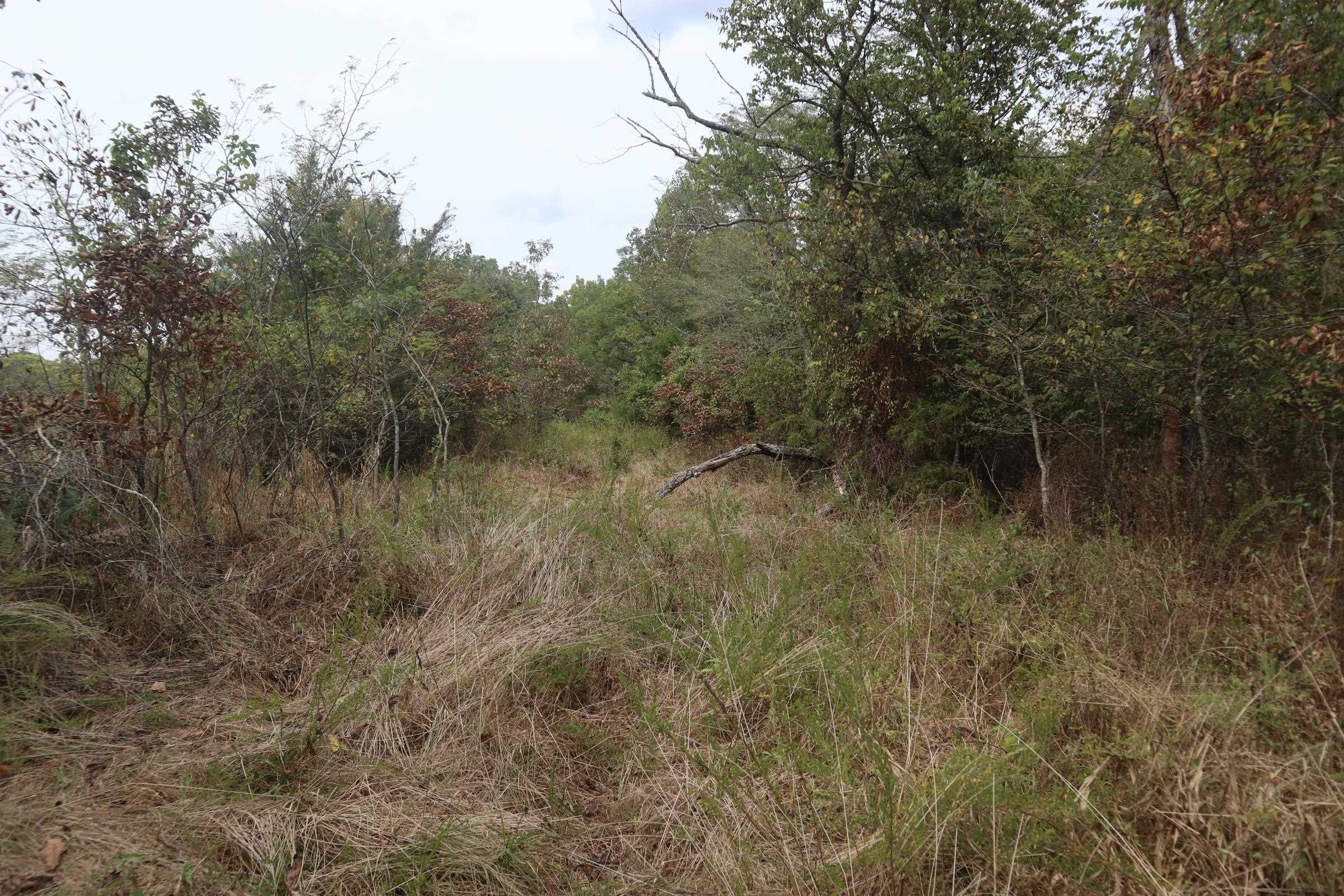 Photo 22 - Vacant Land for sale – 253  Coyote Rd   Salem, AR