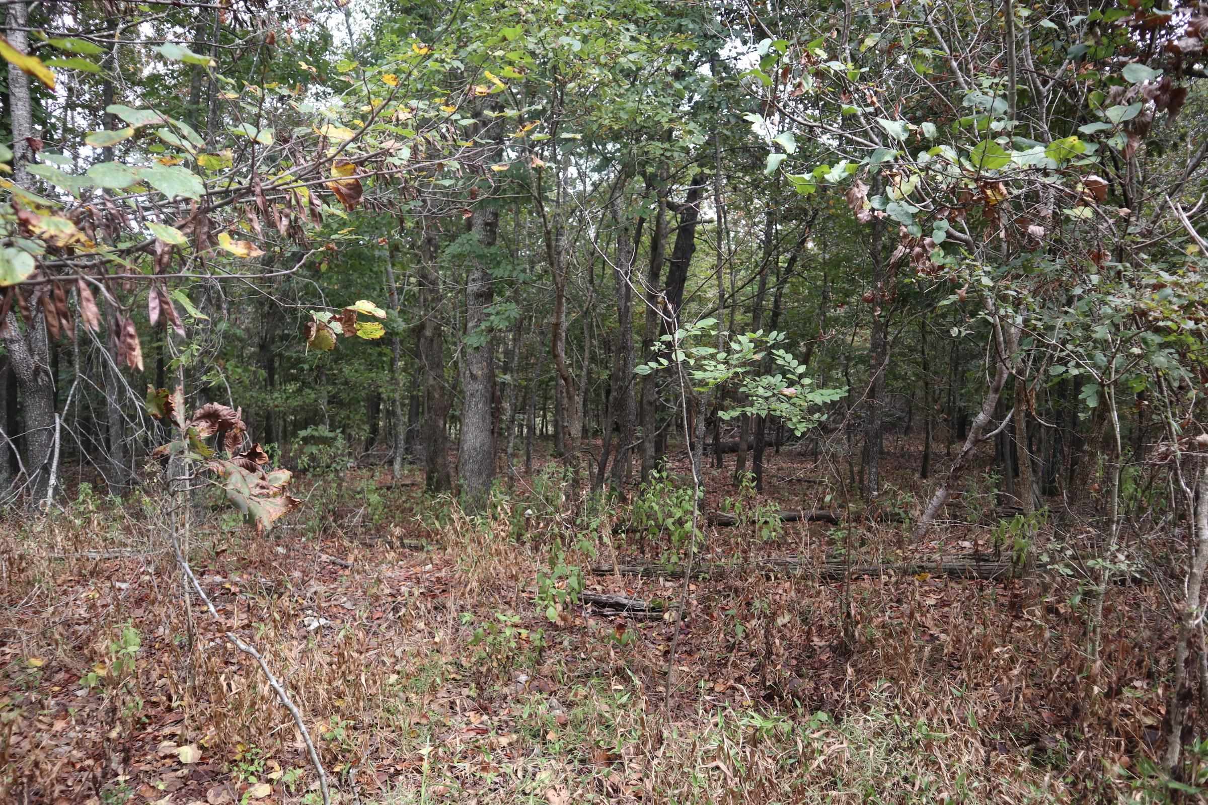 Photo 23 - Vacant Land for sale – 253  Coyote Rd   Salem, AR