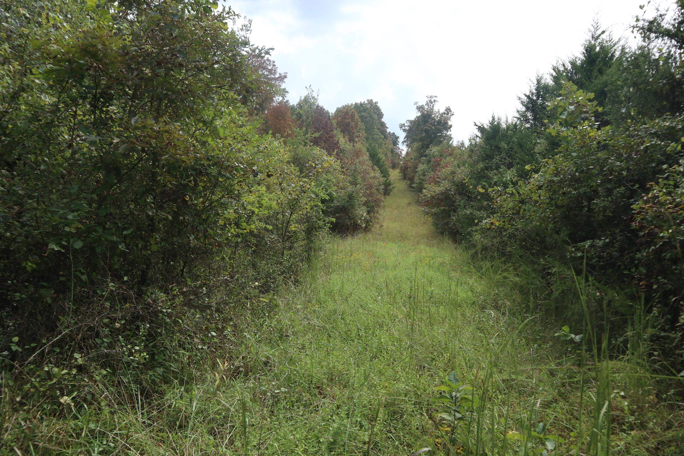 Photo 24 - Vacant Land for sale – 253  Coyote Rd   Salem, AR