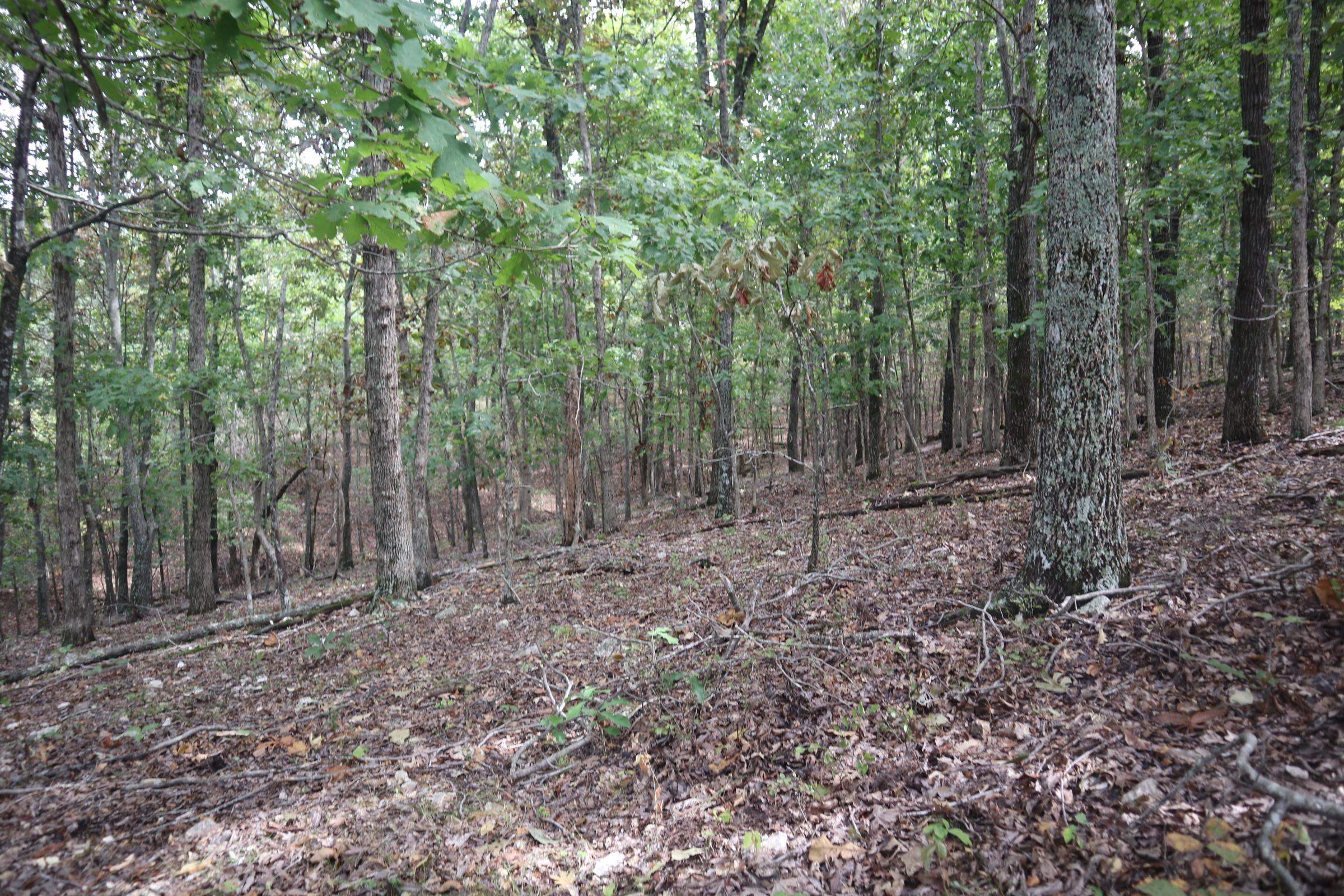 Photo 25 - Vacant Land for sale – 253  Coyote Rd   Salem, AR