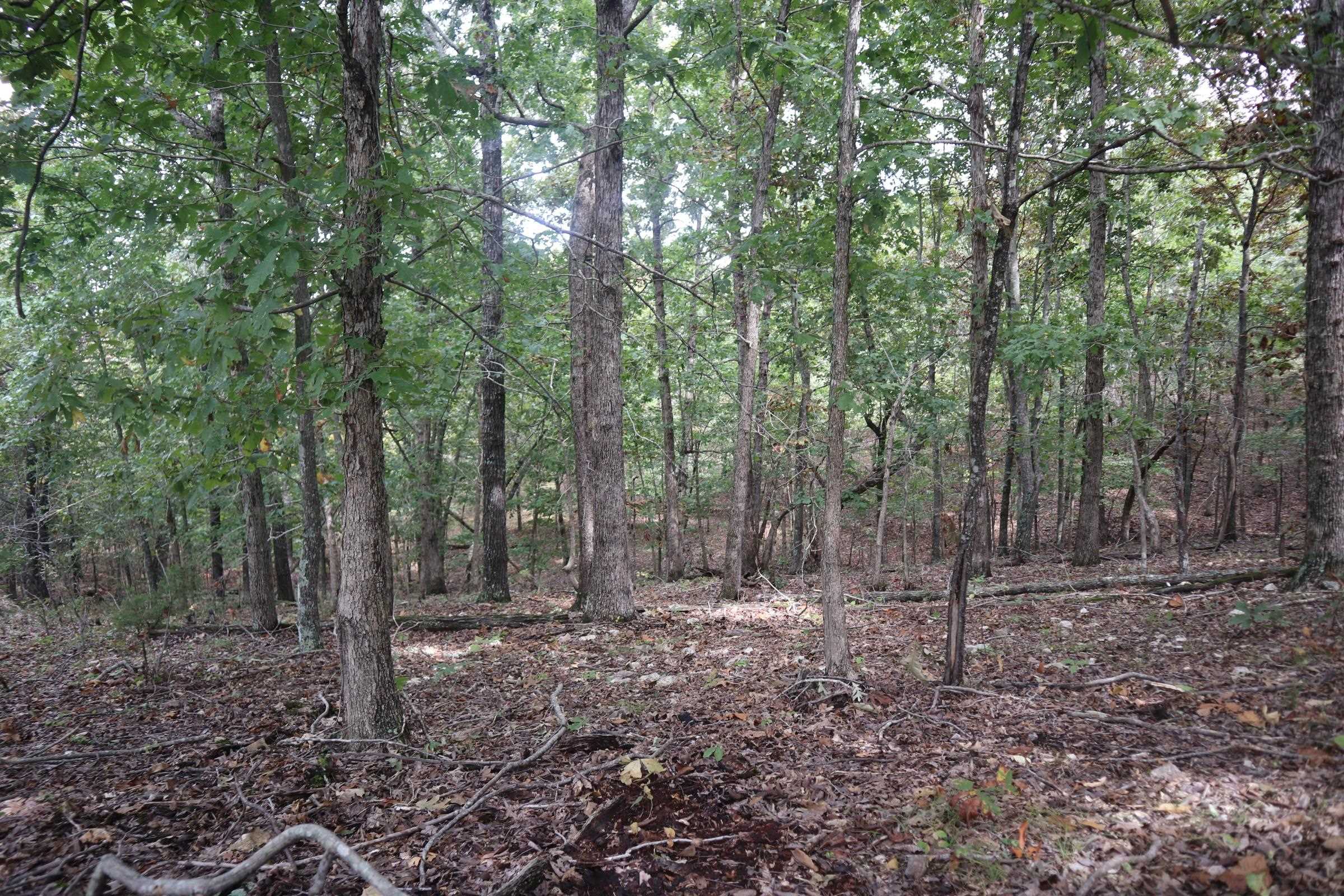 Photo 26 - Vacant Land for sale – 253  Coyote Rd   Salem, AR