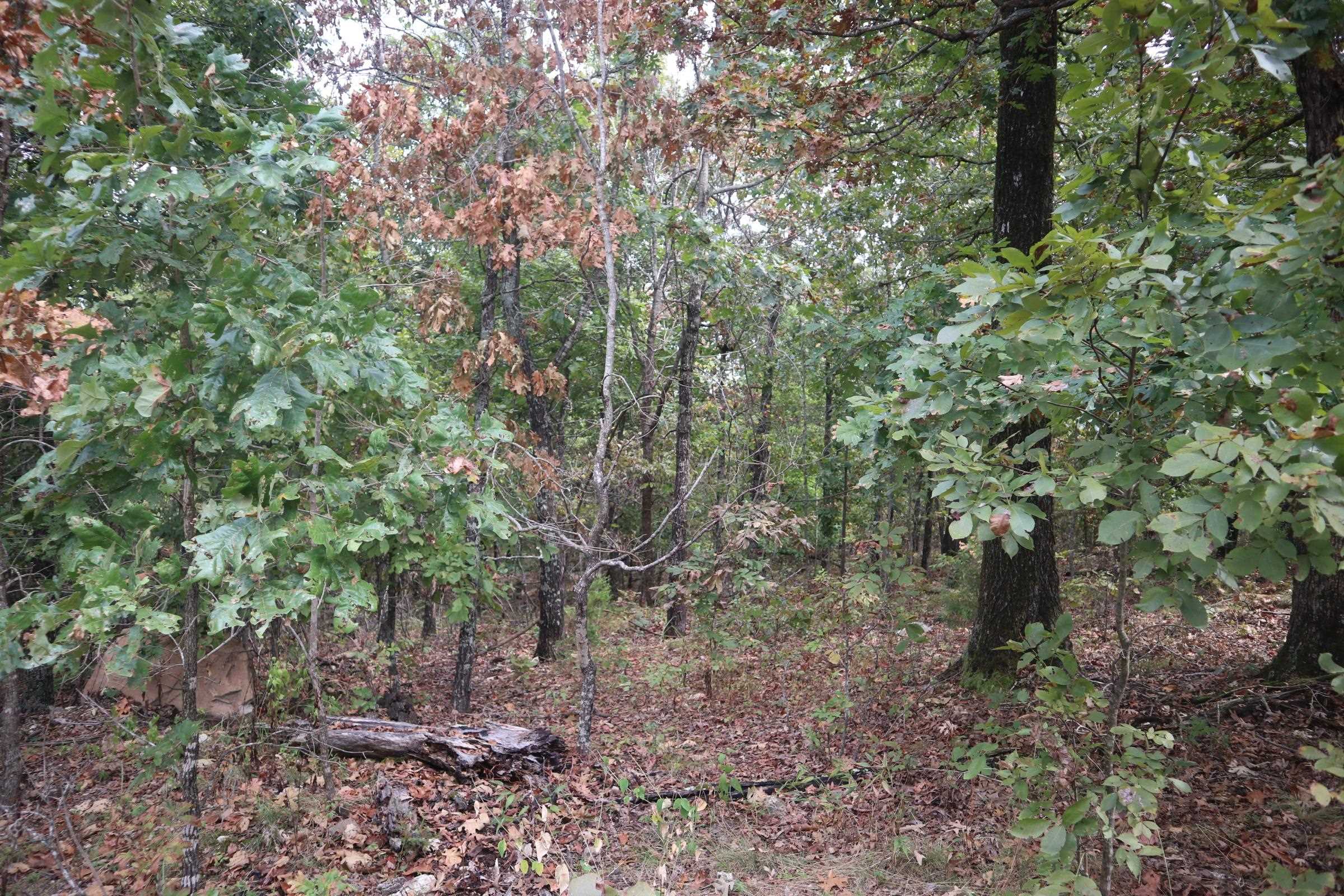 Photo 27 - Vacant Land for sale – 253  Coyote Rd   Salem, AR