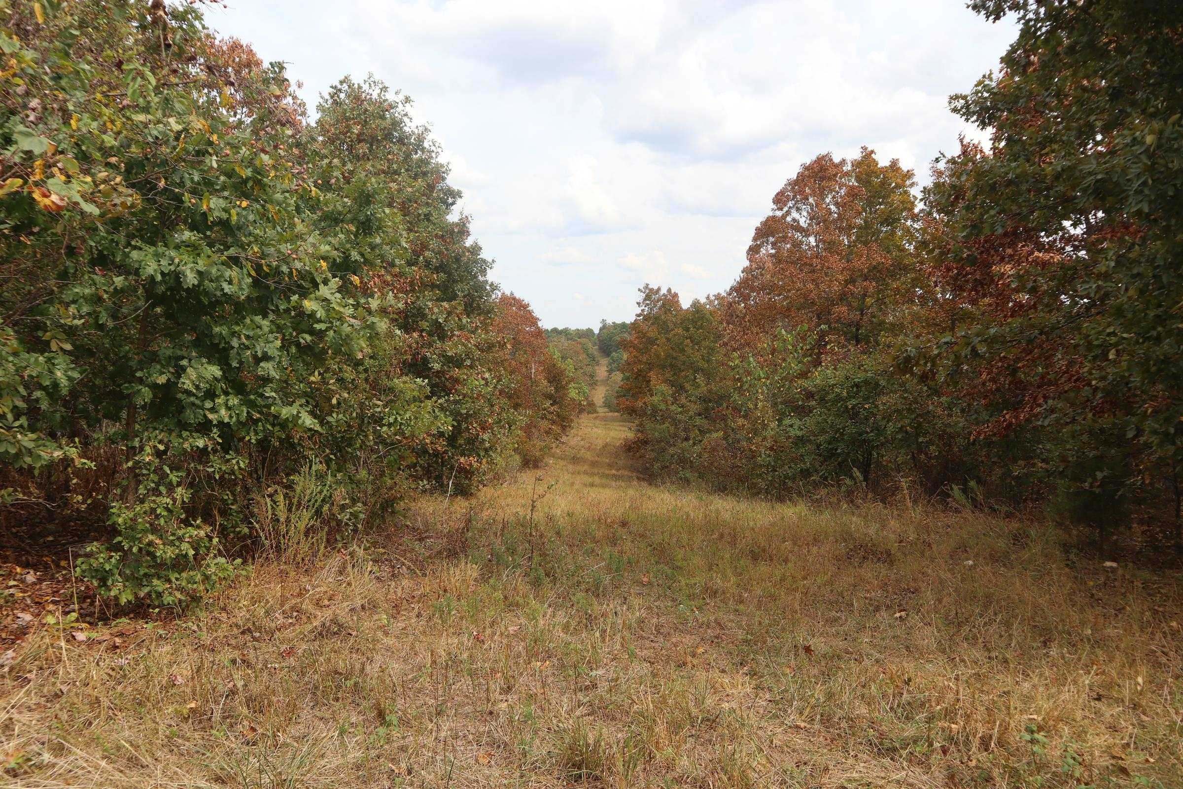 Photo 28 - Vacant Land for sale – 253  Coyote Rd   Salem, AR