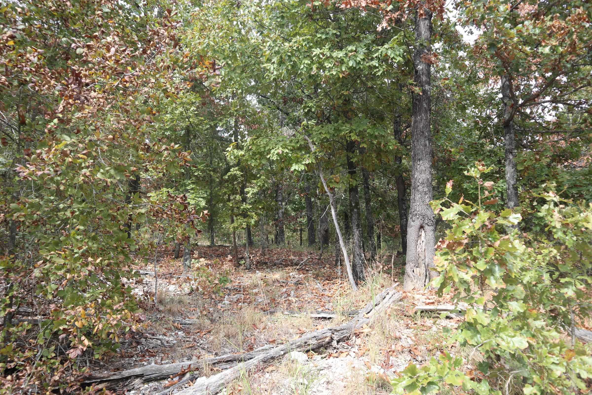 Photo 29 - Vacant Land for sale – 253  Coyote Rd   Salem, AR