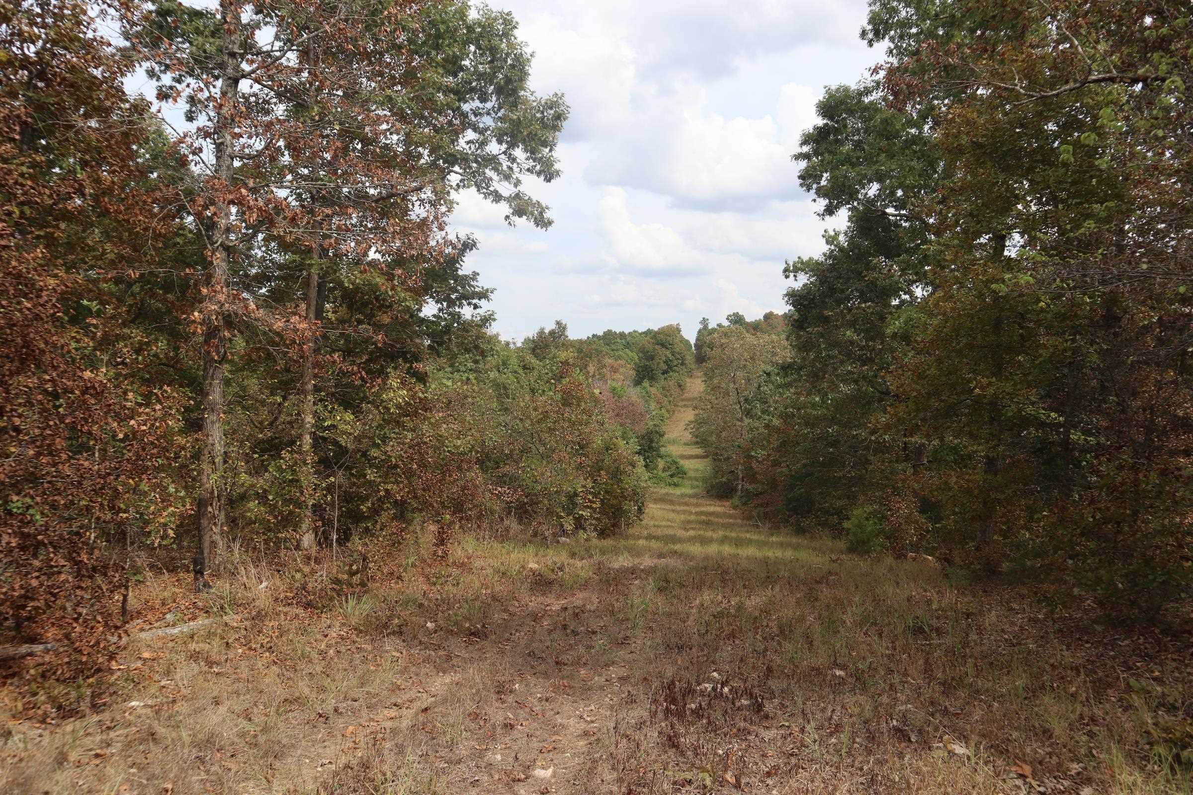 Photo 30 - Vacant Land for sale – 253  Coyote Rd   Salem, AR