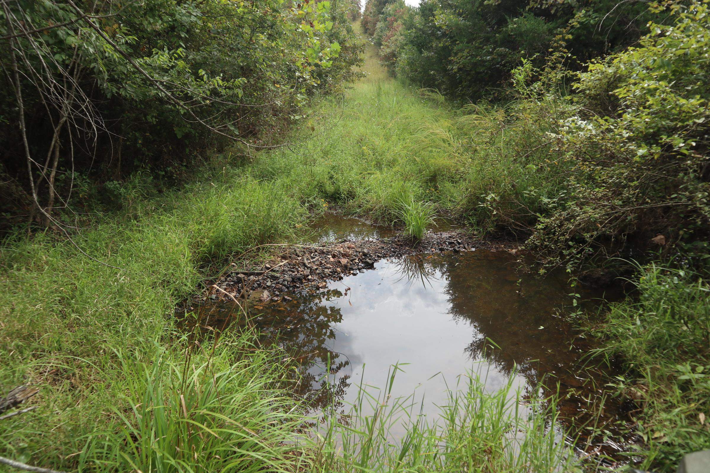 Photo 4 - Vacant Land for sale – 253  Coyote Rd   Salem, AR