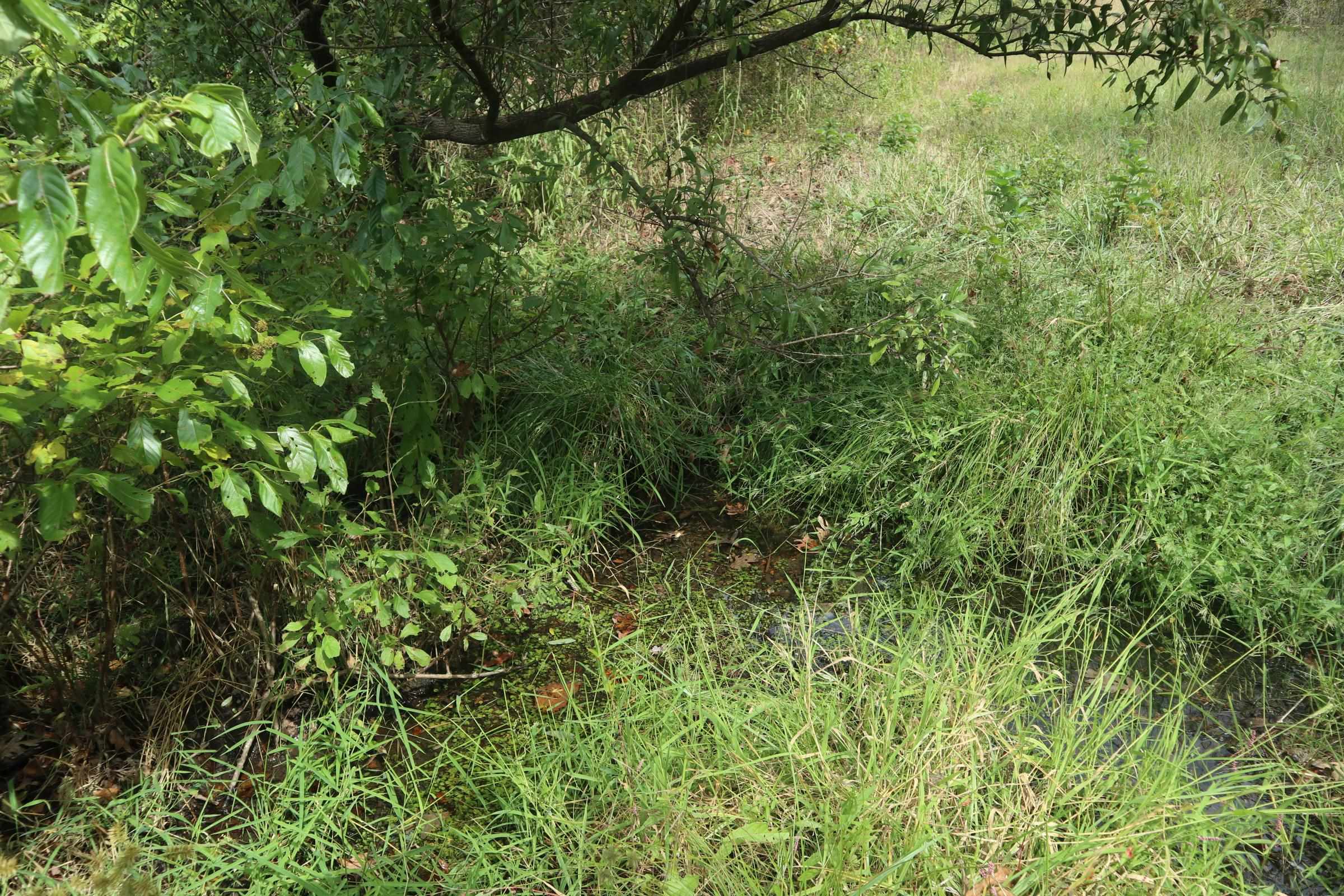 Photo 31 - Vacant Land for sale – 253  Coyote Rd   Salem, AR