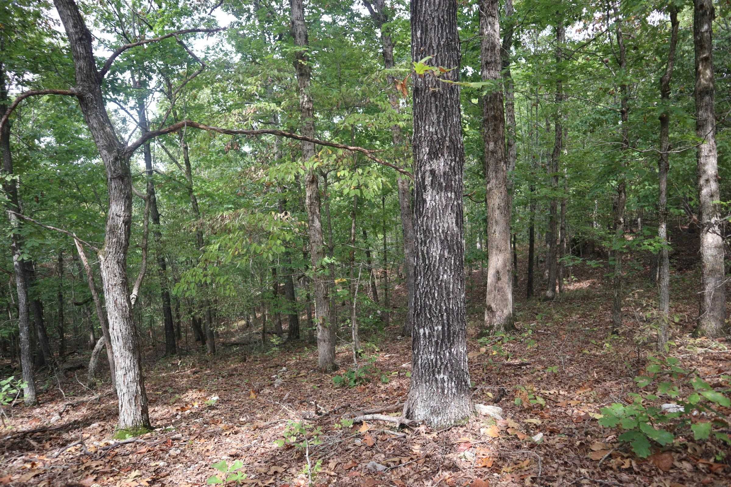 Photo 33 - Vacant Land for sale – 253  Coyote Rd   Salem, AR